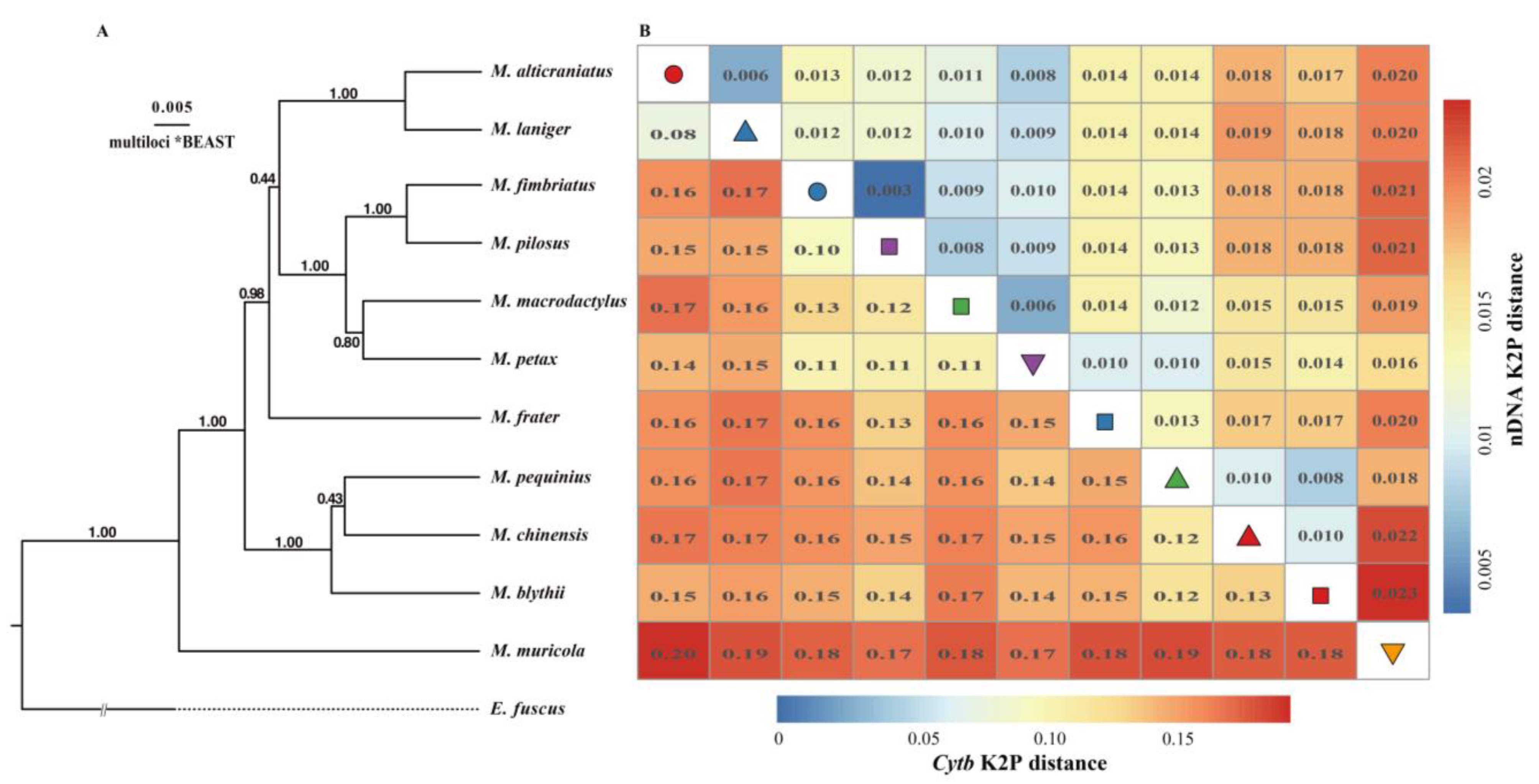 Diversity 15 00805 g004 Diversity 15 00805 g004
