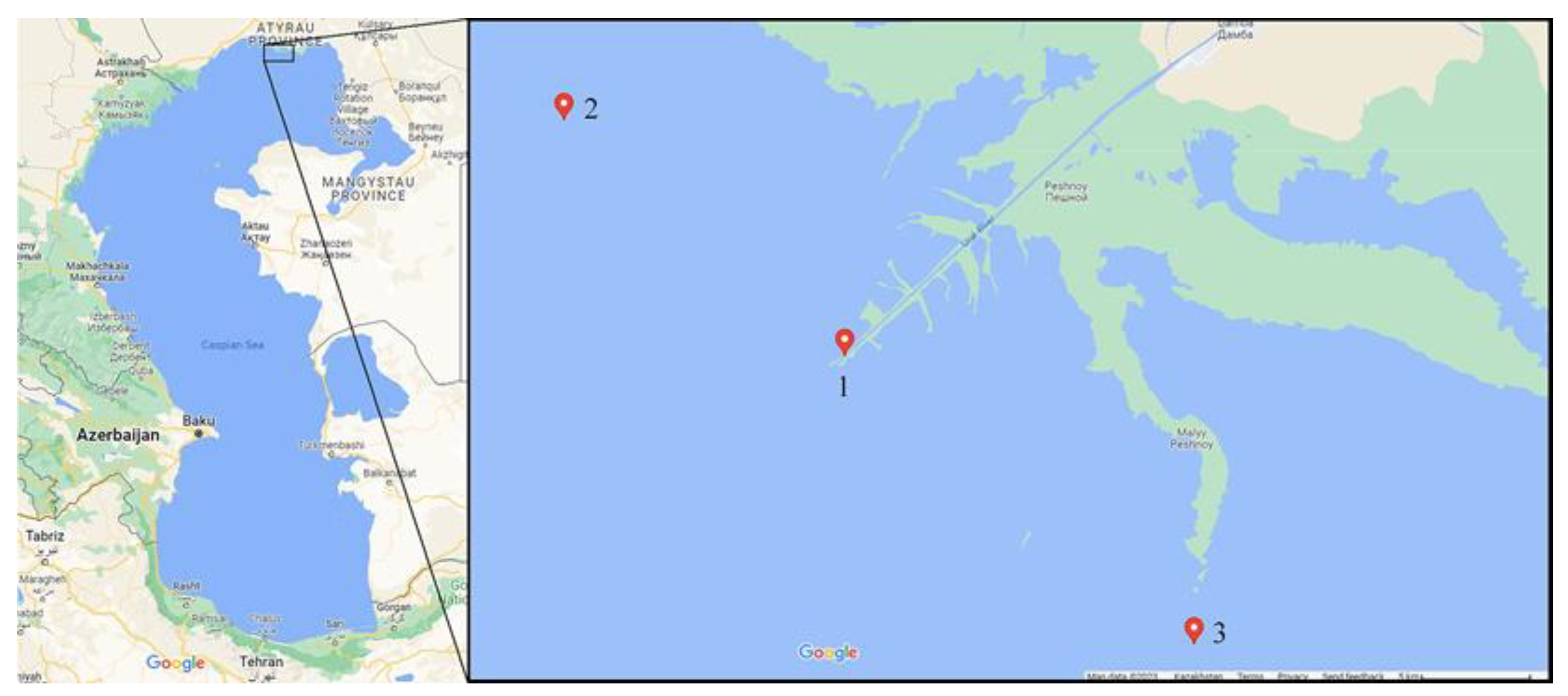 Diversity 15 00813 g001 Diversity 15 00813 g001