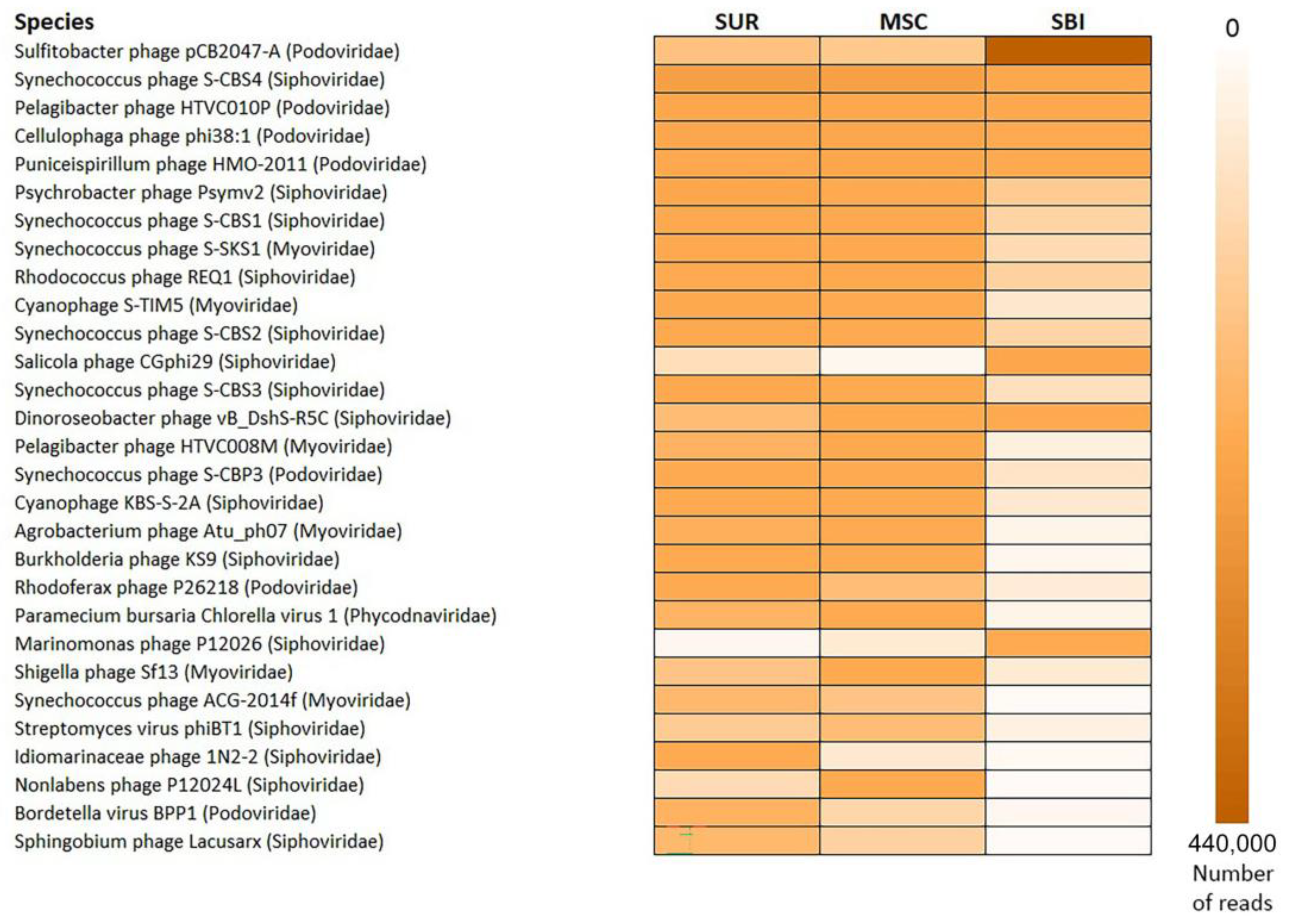 Diversity 15 00813 g003 Diversity 15 00813 g003