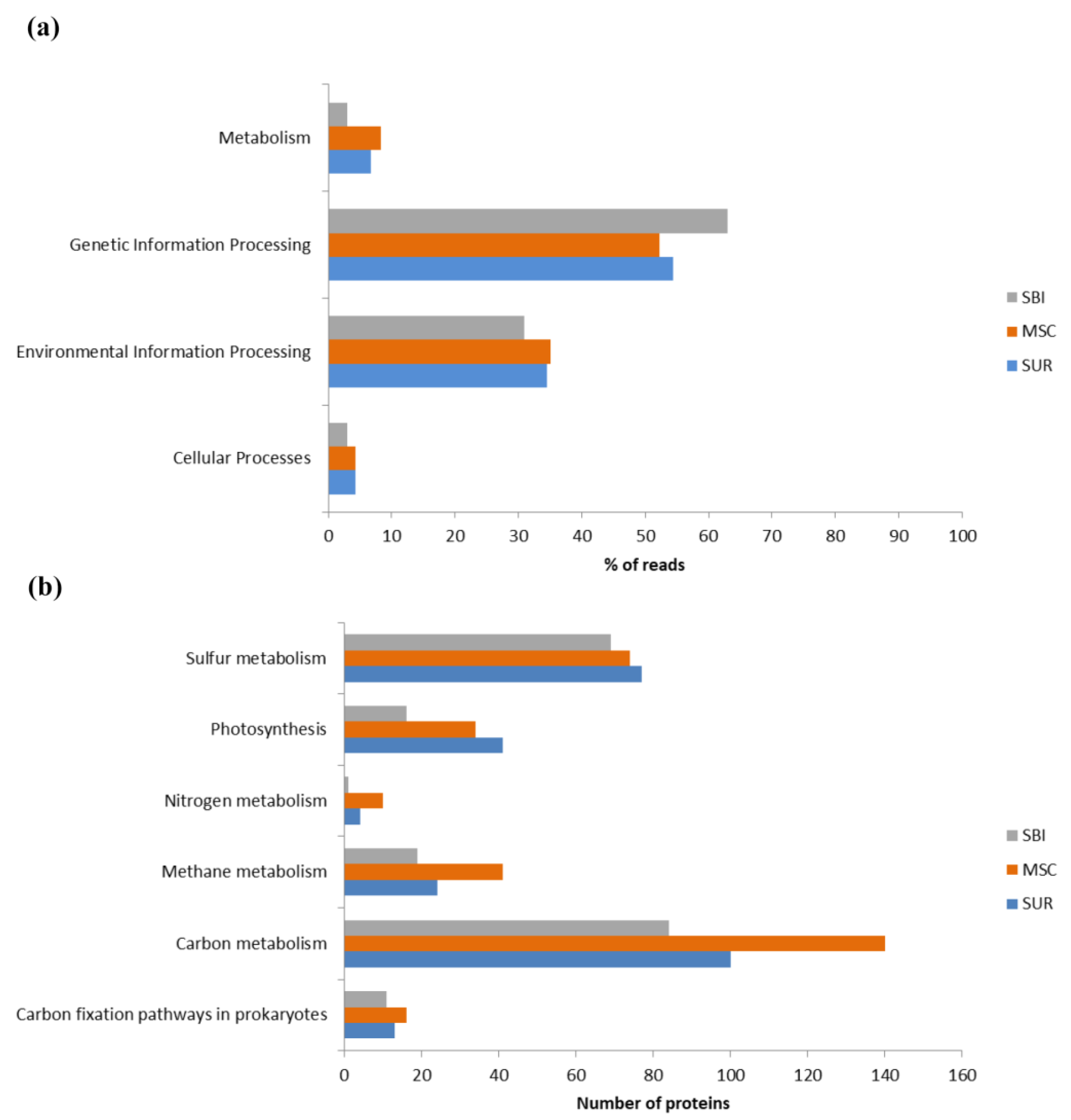 Diversity 15 00813 g004 Diversity 15 00813 g004