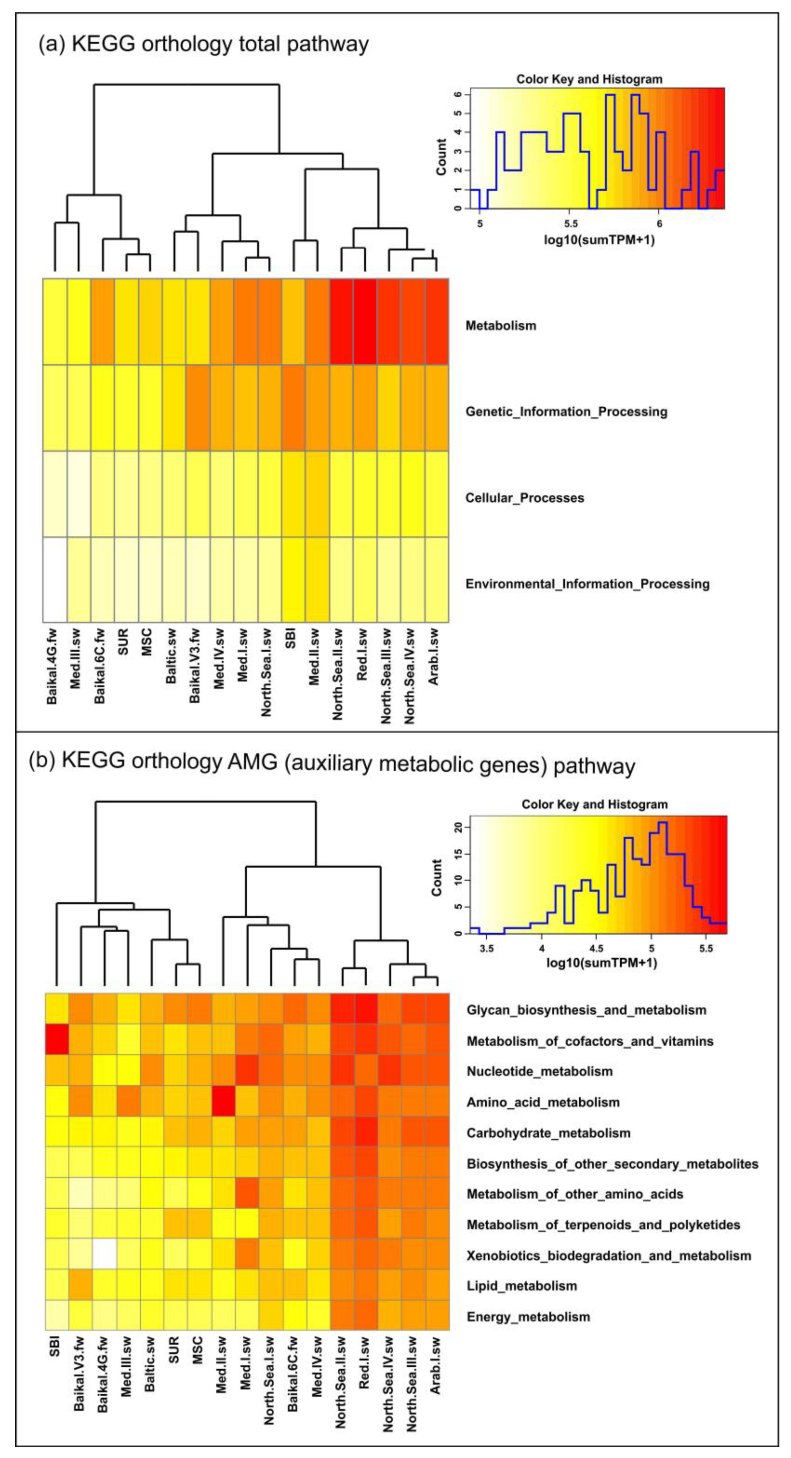 Diversity 15 00813 g005 Diversity 15 00813 g005