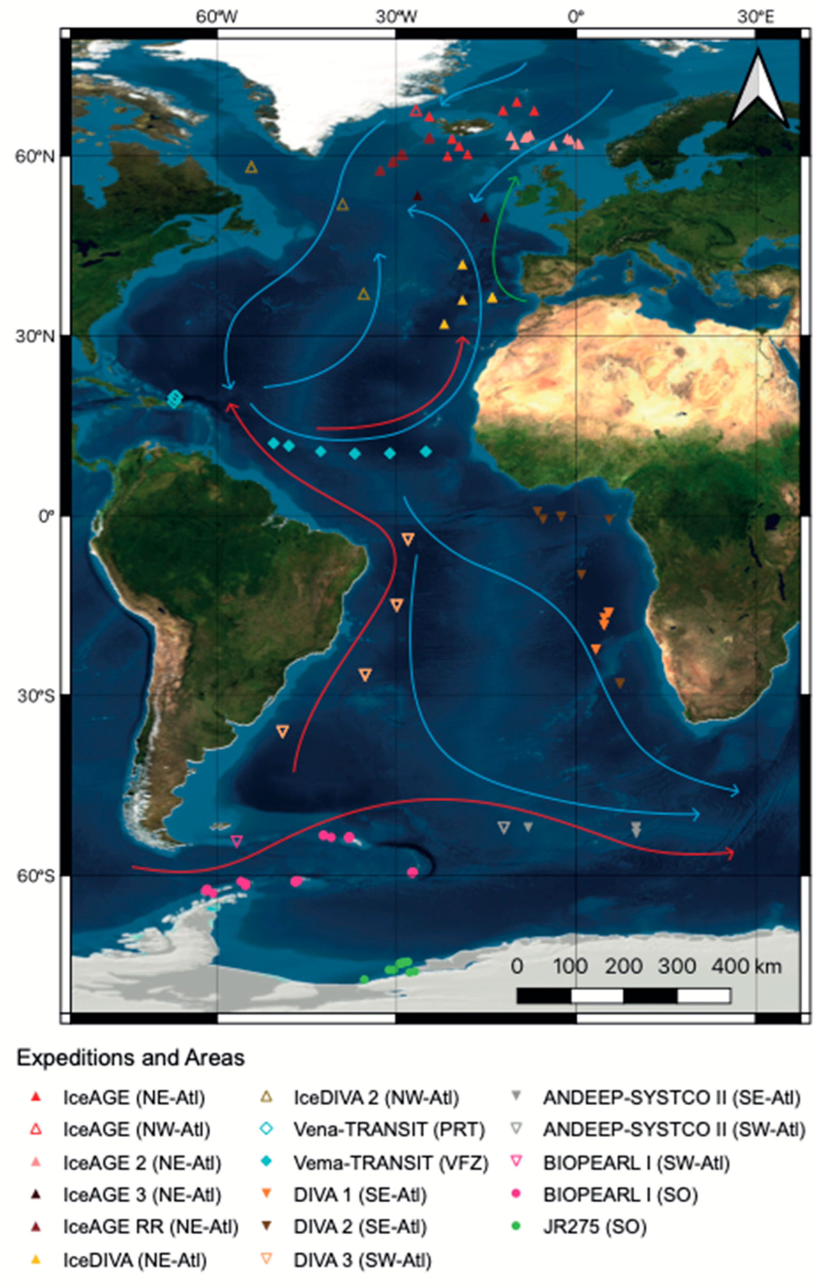 and Comparison Pan-Atlantic Deep-Sea Free Macro- of Megabenthos Full-Text | Diversity |