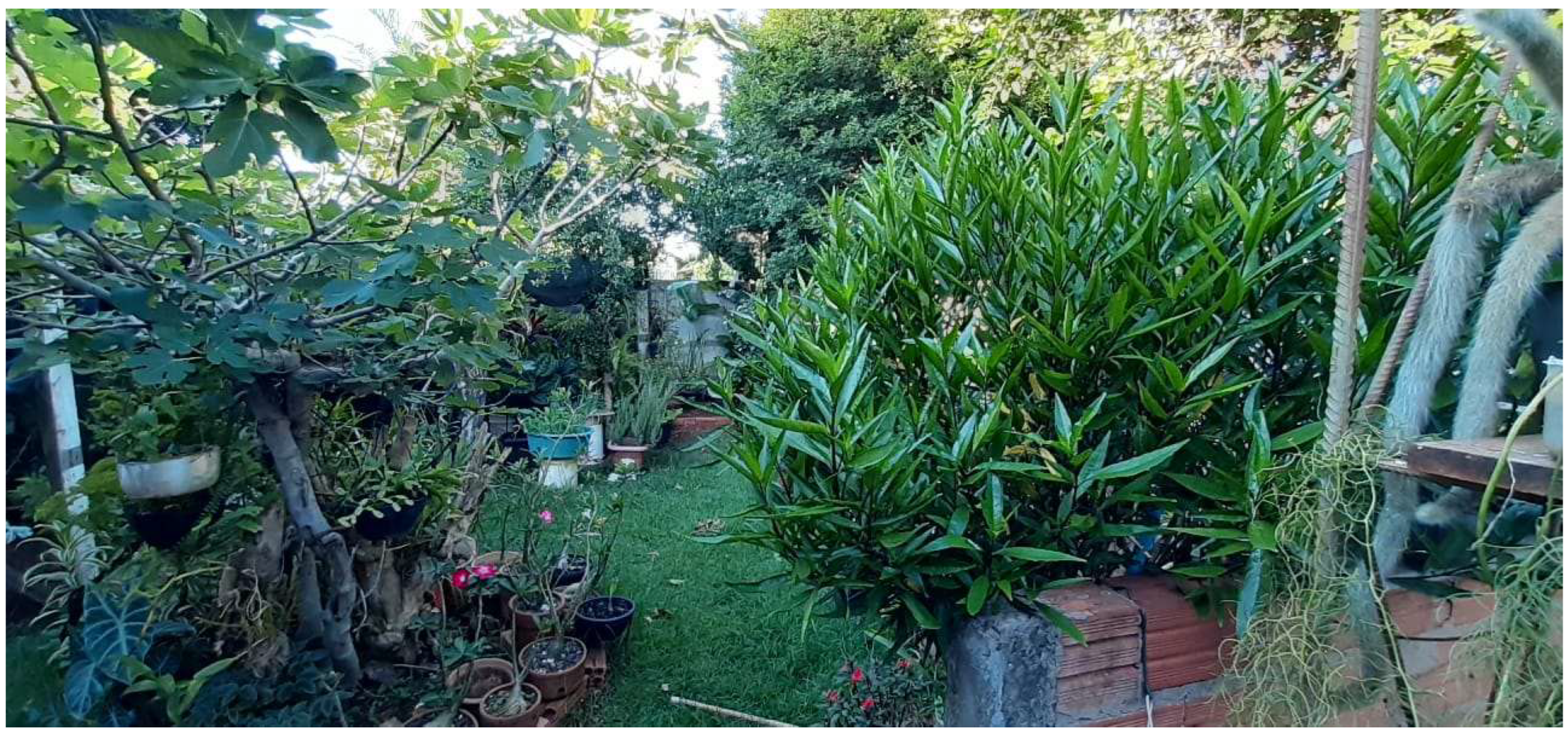 Diversity 15 00815 g001 Diversity 15 00815 g001