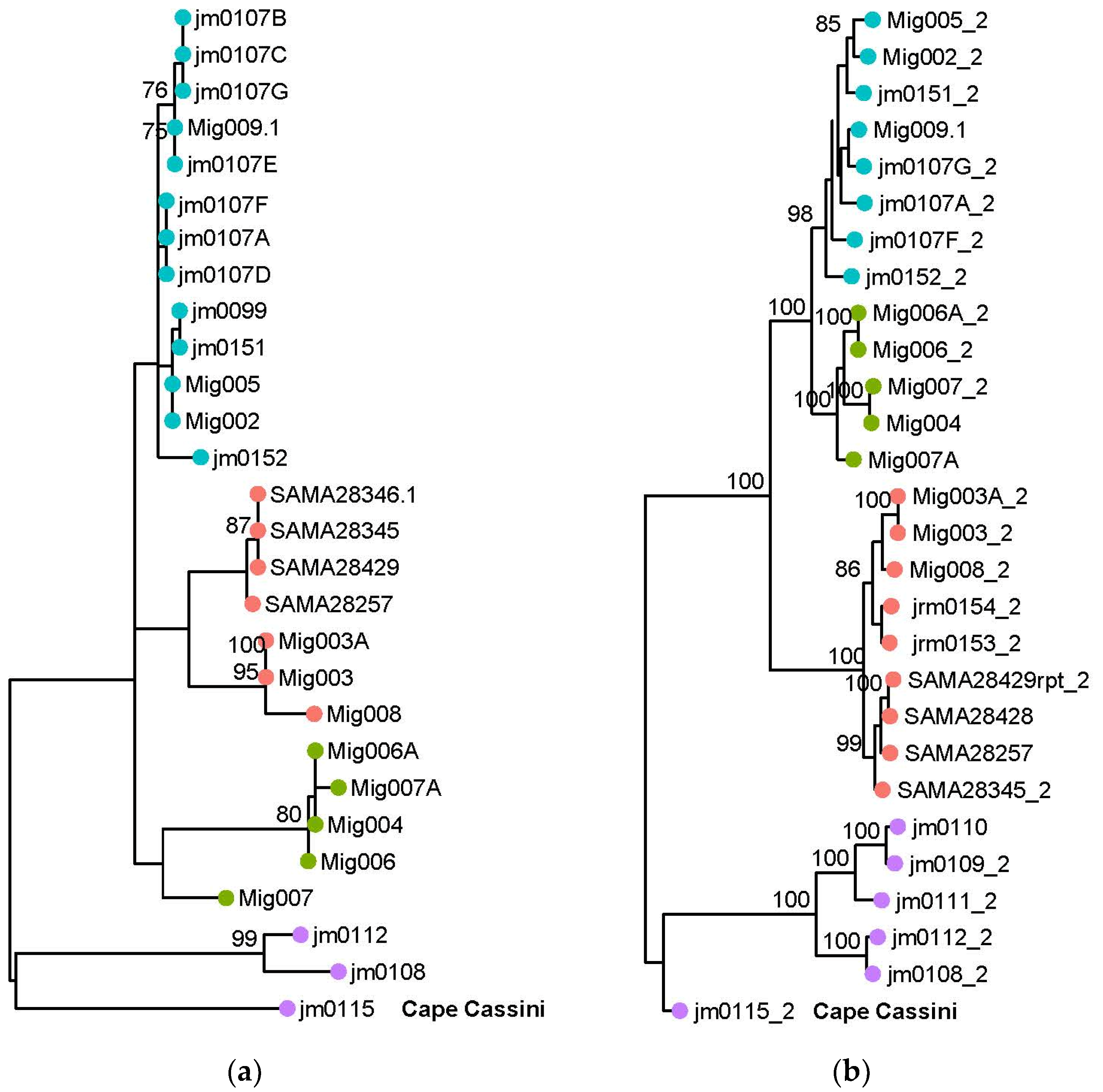Diversity 15 00827 g004 Diversity 15 00827 g004