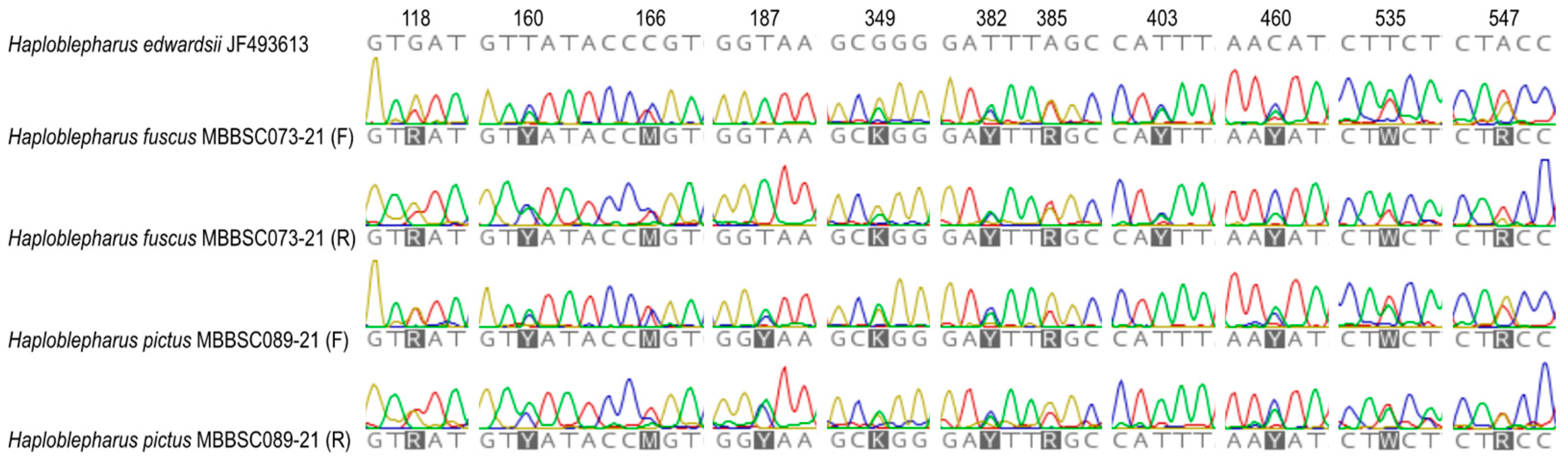 Diversity 15 00828 g001 Diversity 15 00828 g001