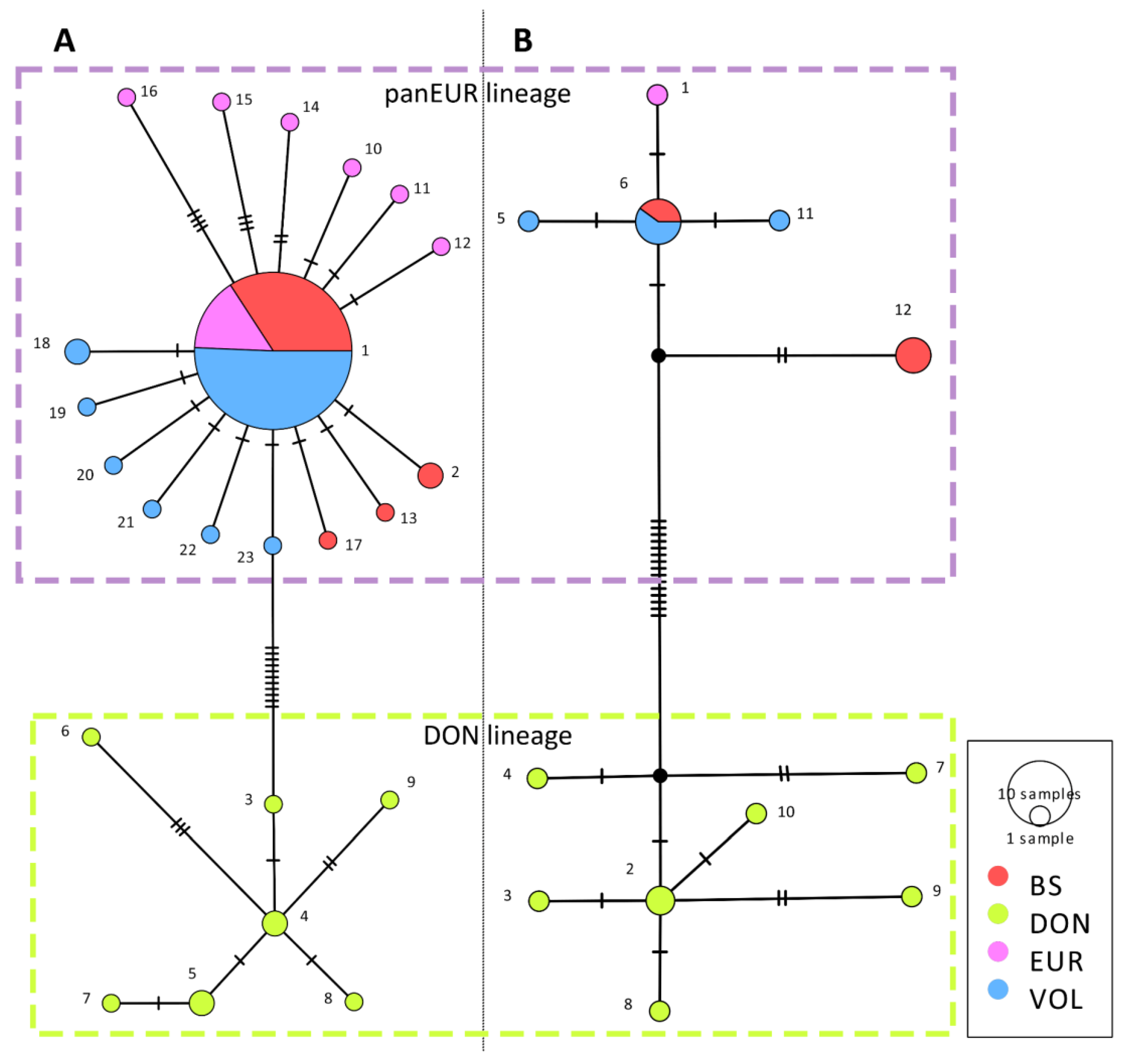 Diversity 15 00829 g002 Diversity 15 00829 g002