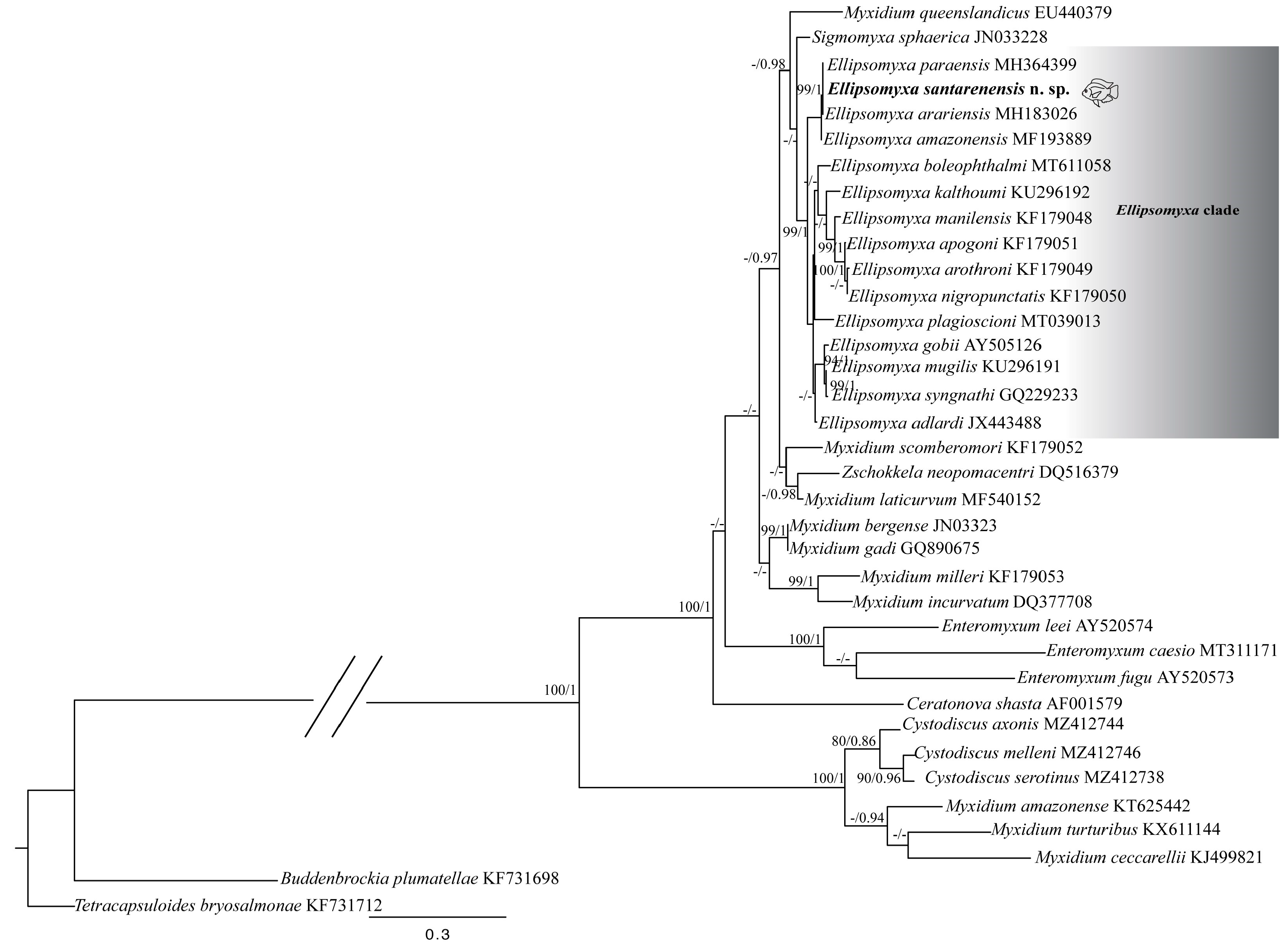 Diversity 15 00830 g006 Diversity 15 00830 g006