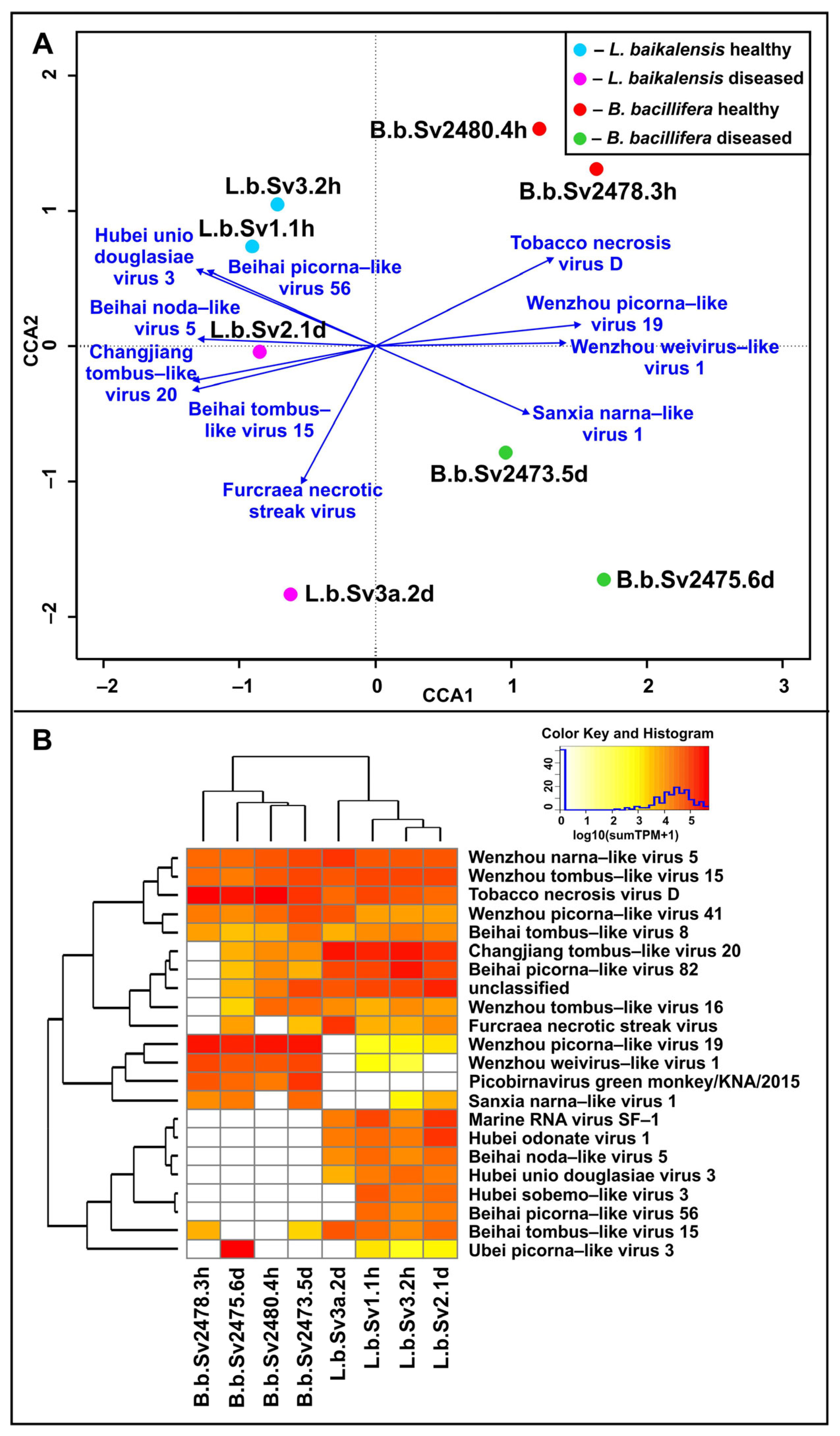 Diversity 15 00835 g003 Diversity 15 00835 g003