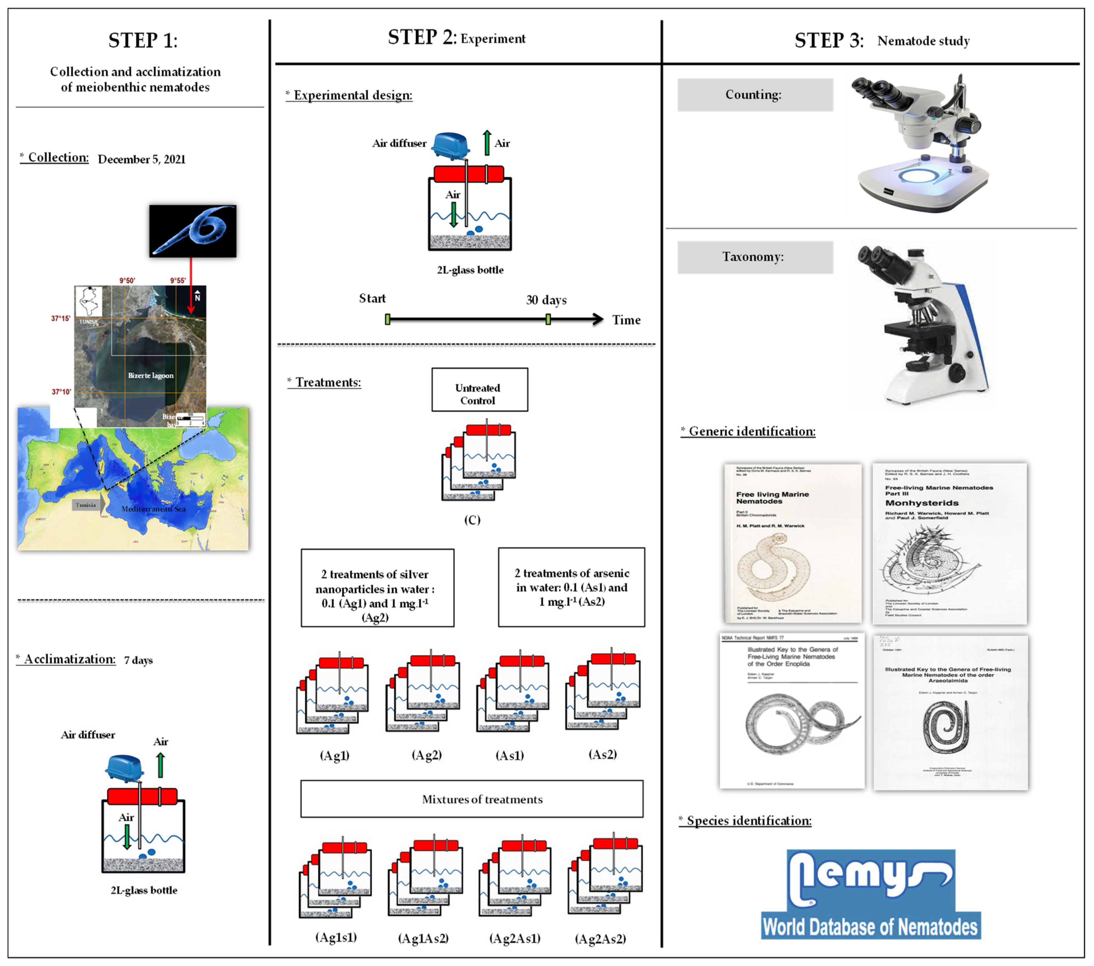 Diversity 15 00836 g001