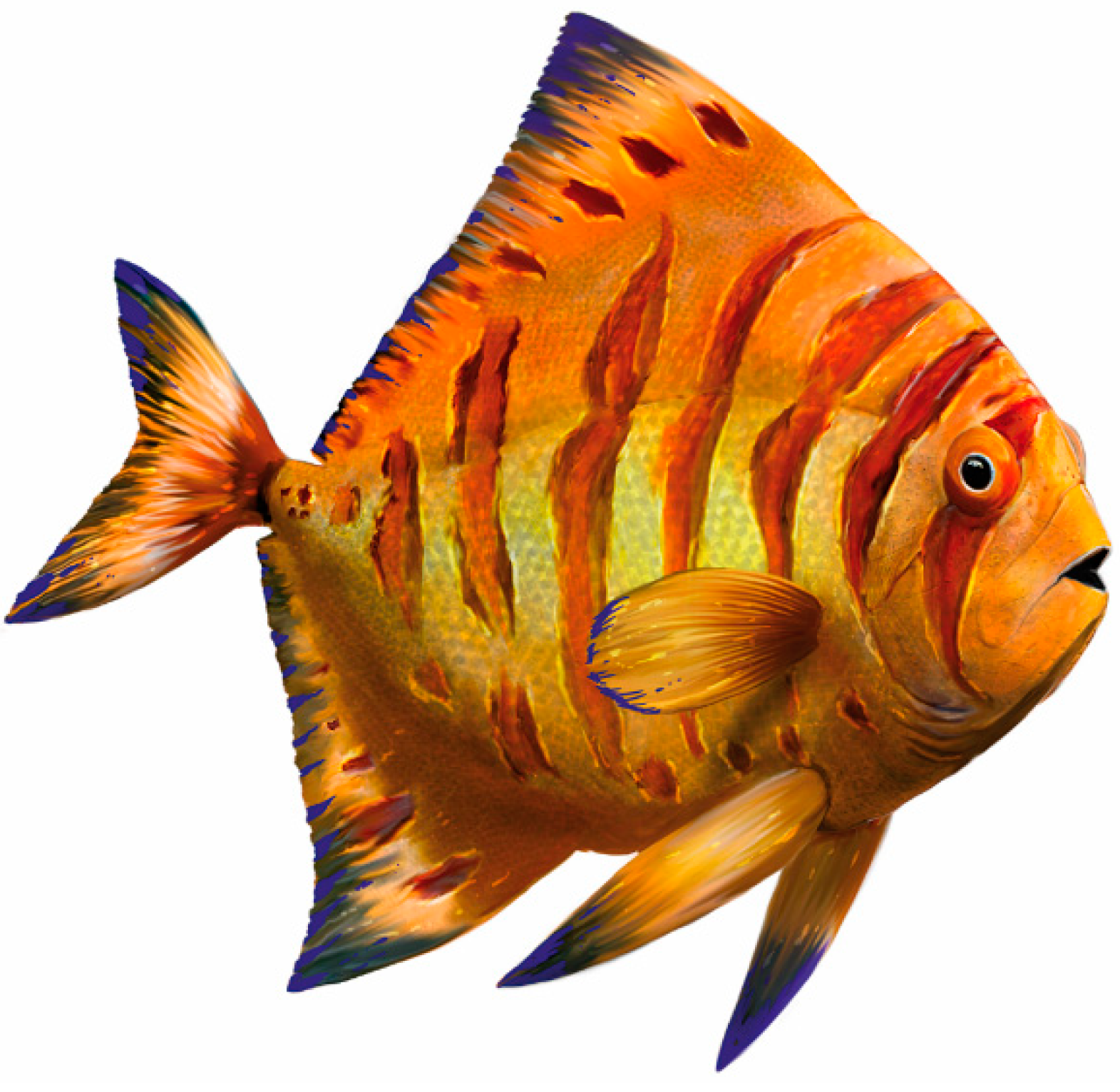 Diversity 15 00839 g005