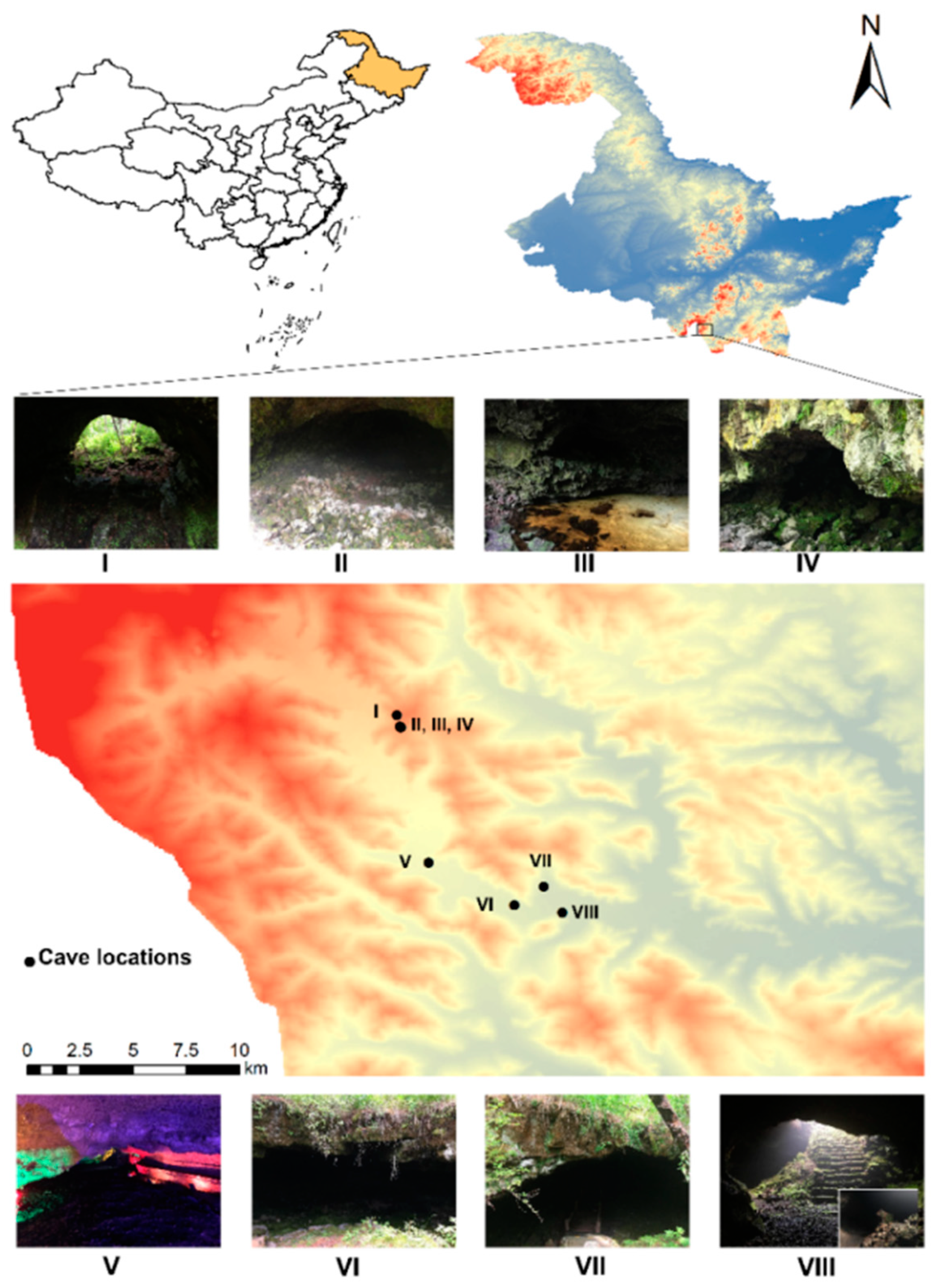 Diversity 15 00842 g001