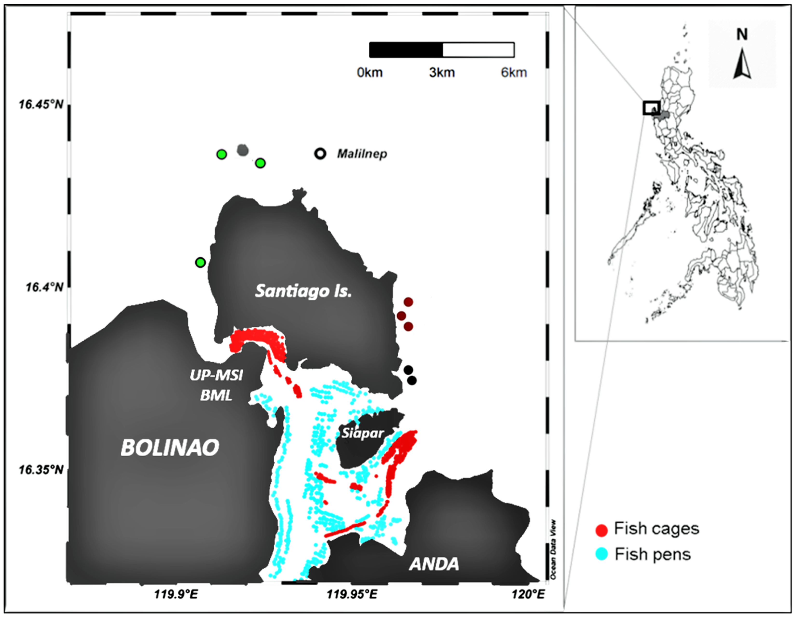Diversity 15 00843 g001