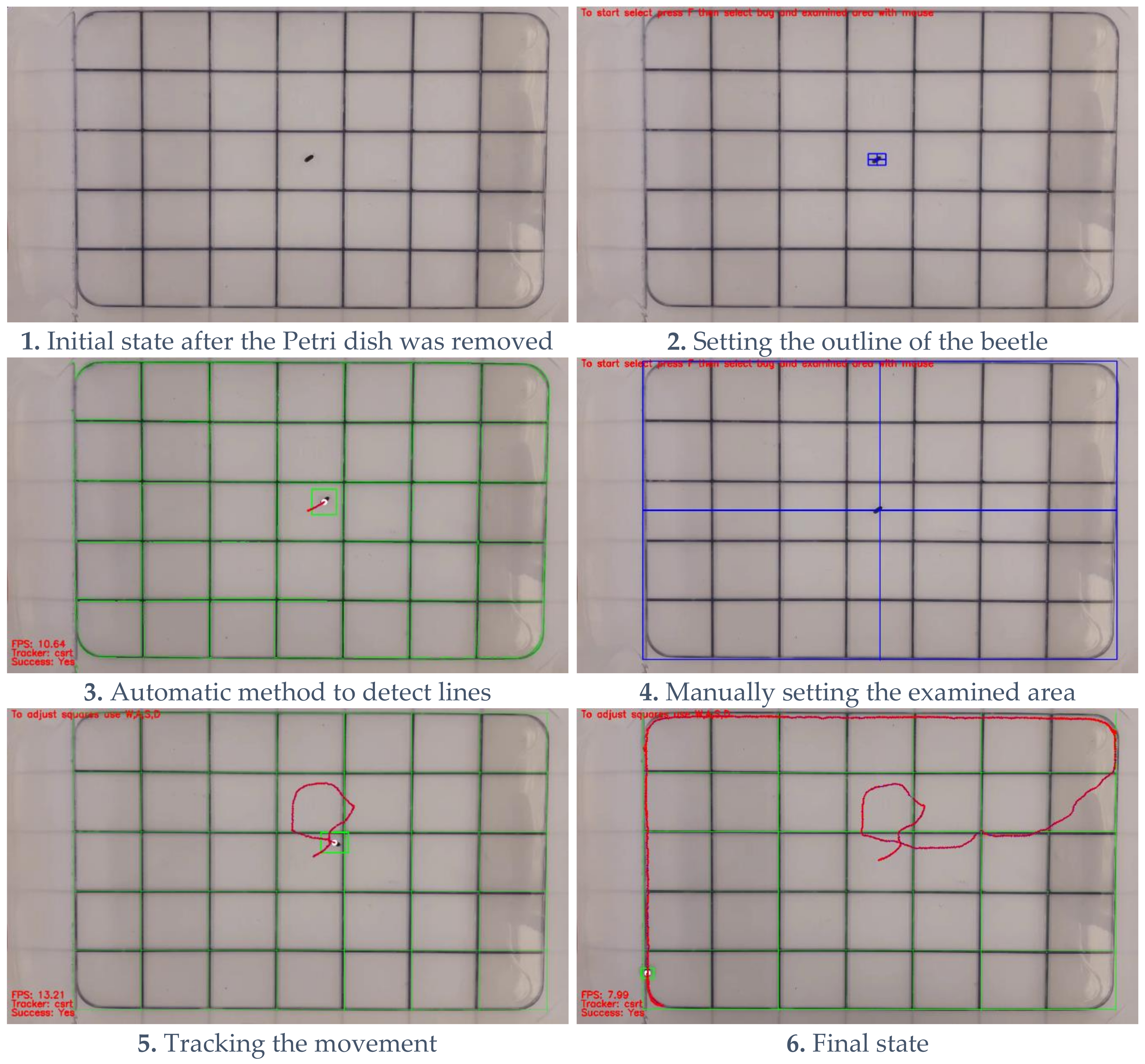 Diversity 15 00846 g001 Diversity 15 00846 g001