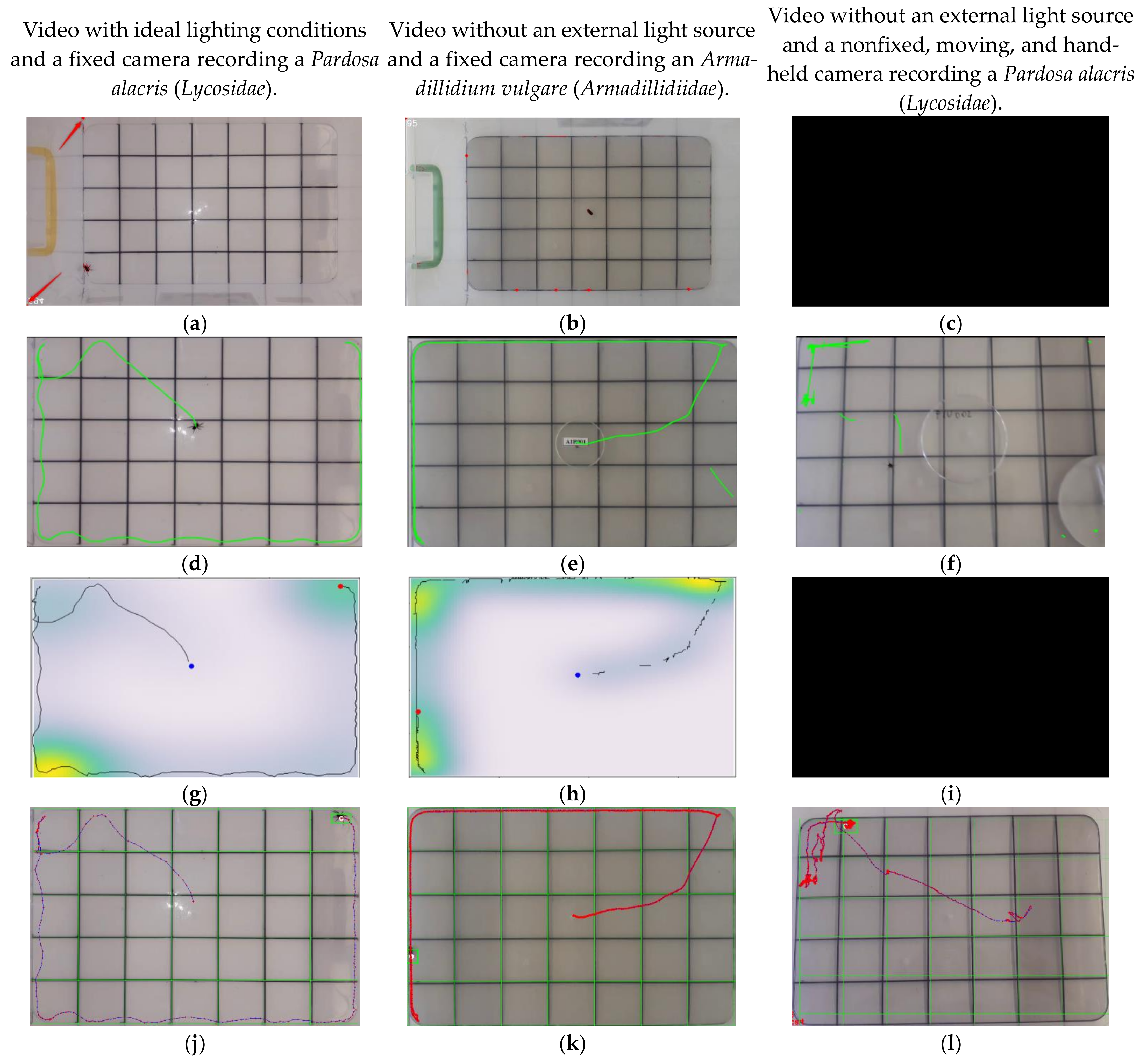 Diversity 15 00846 g002 Diversity 15 00846 g002