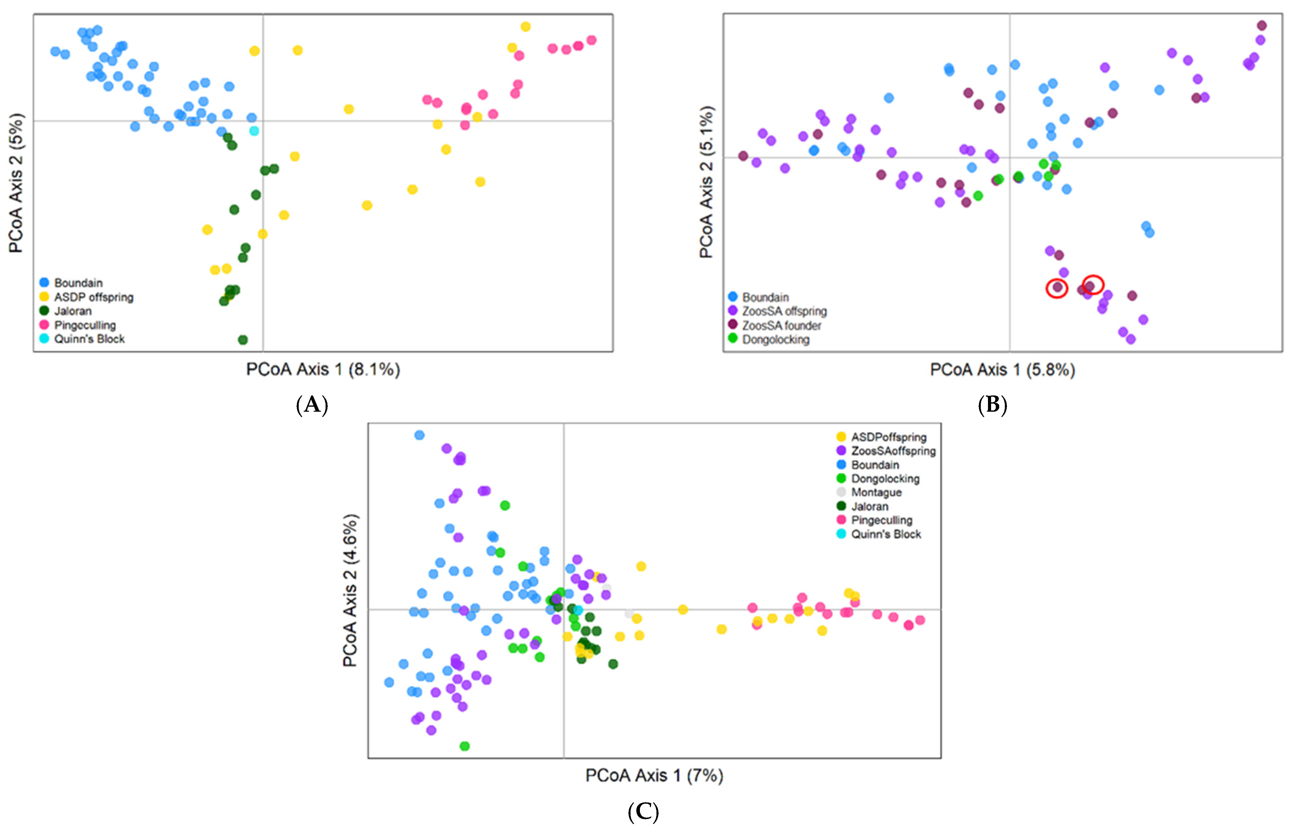 Diversity 15 00848 g003