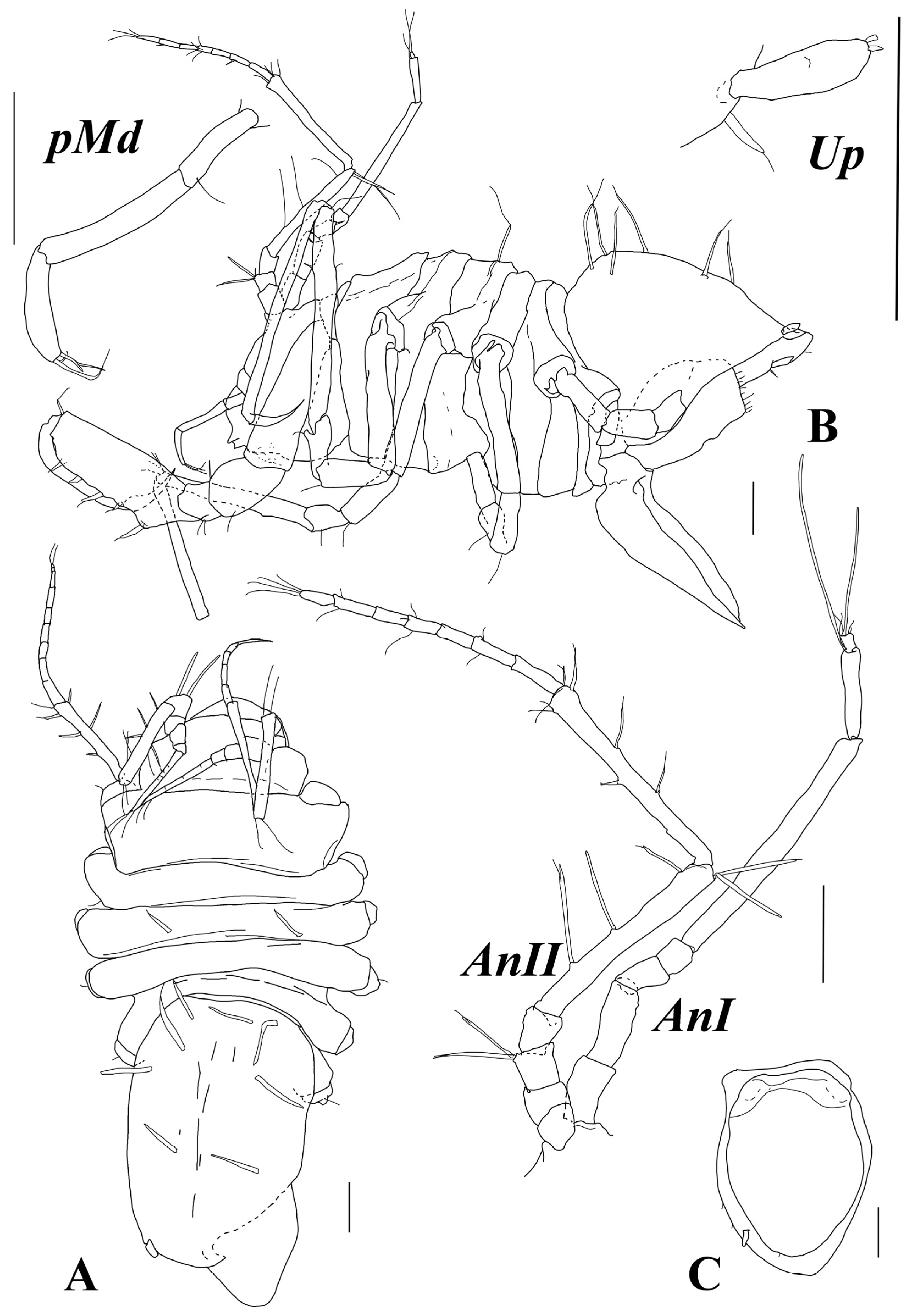 Diversity 15 00850 g003 Diversity 15 00850 g003