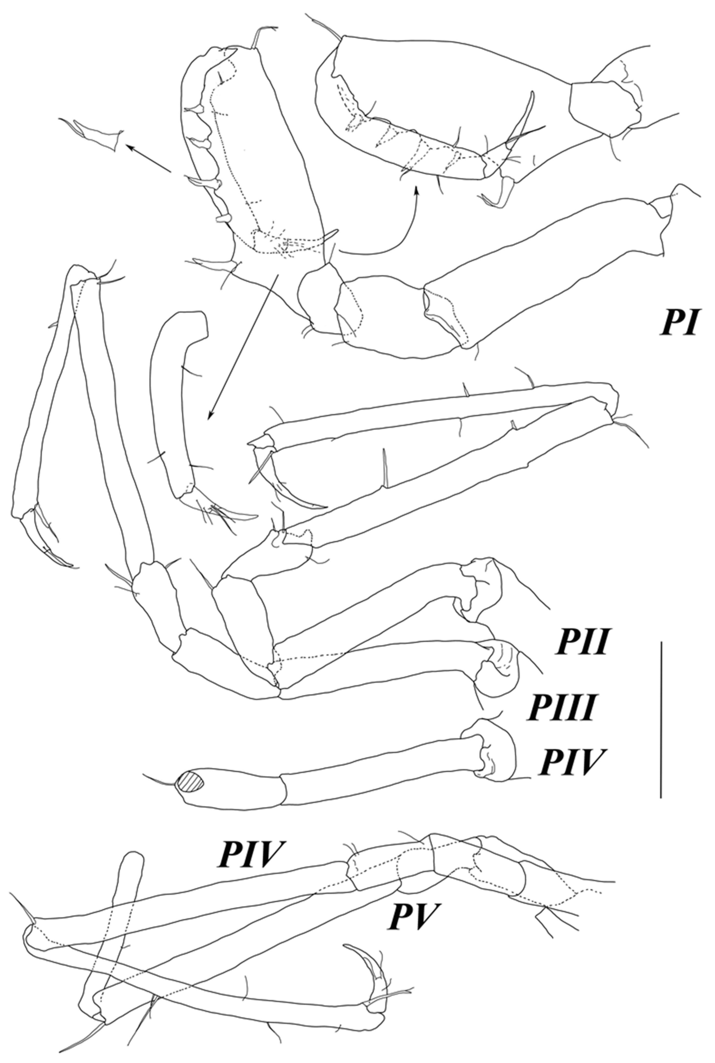 Diversity 15 00850 g004 Diversity 15 00850 g004