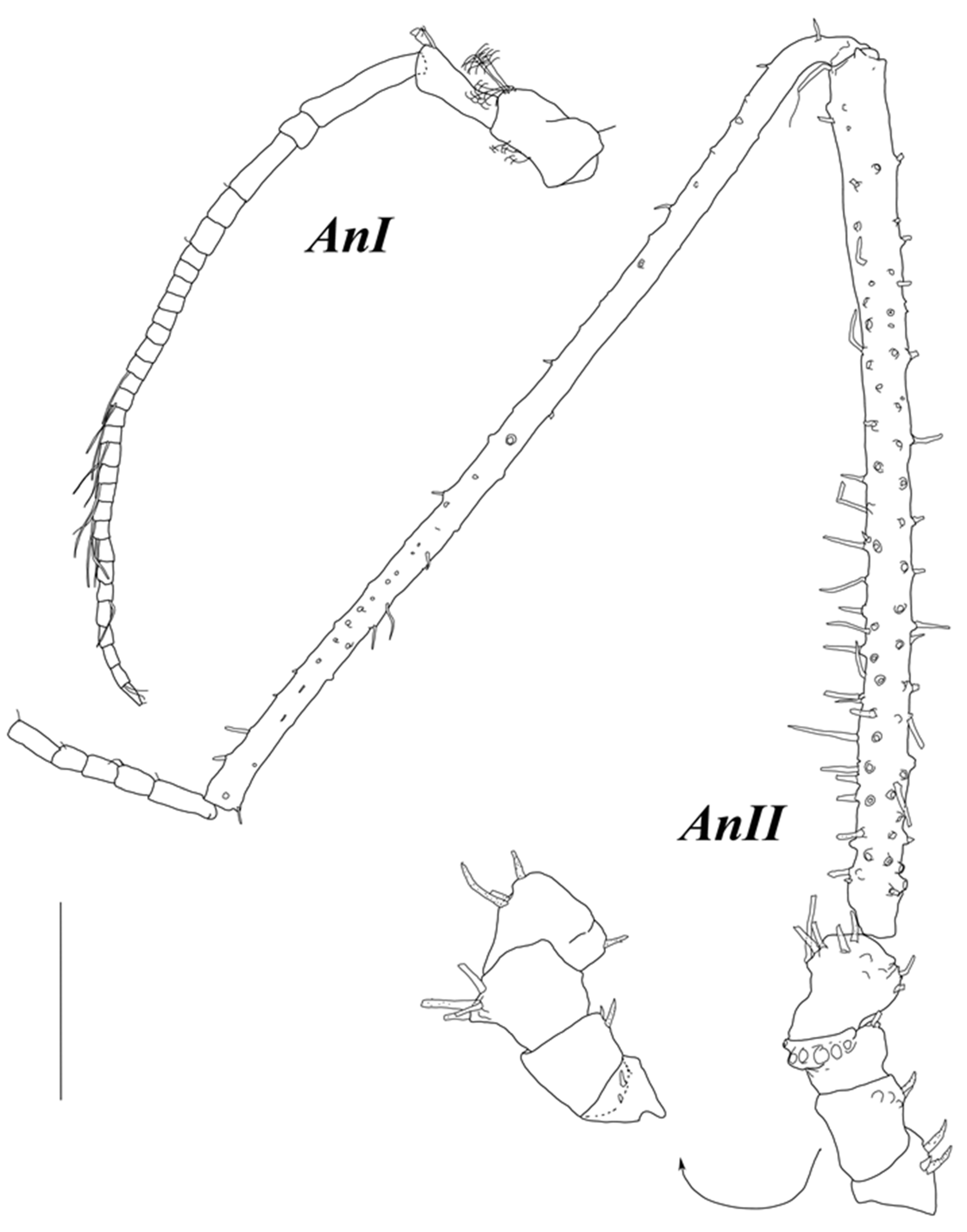 Diversity 15 00850 g006 Diversity 15 00850 g006