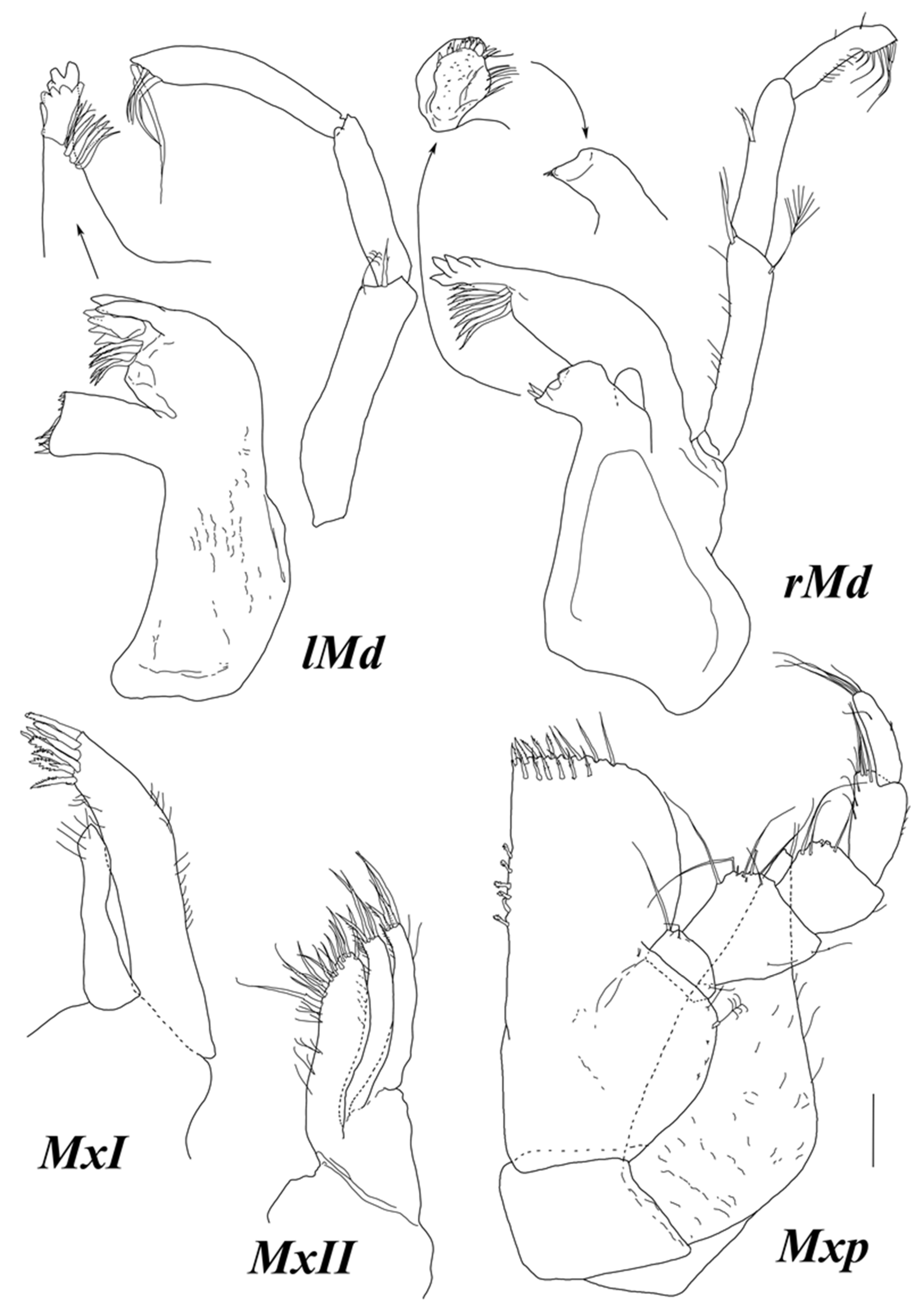 Diversity 15 00850 g007 Diversity 15 00850 g007