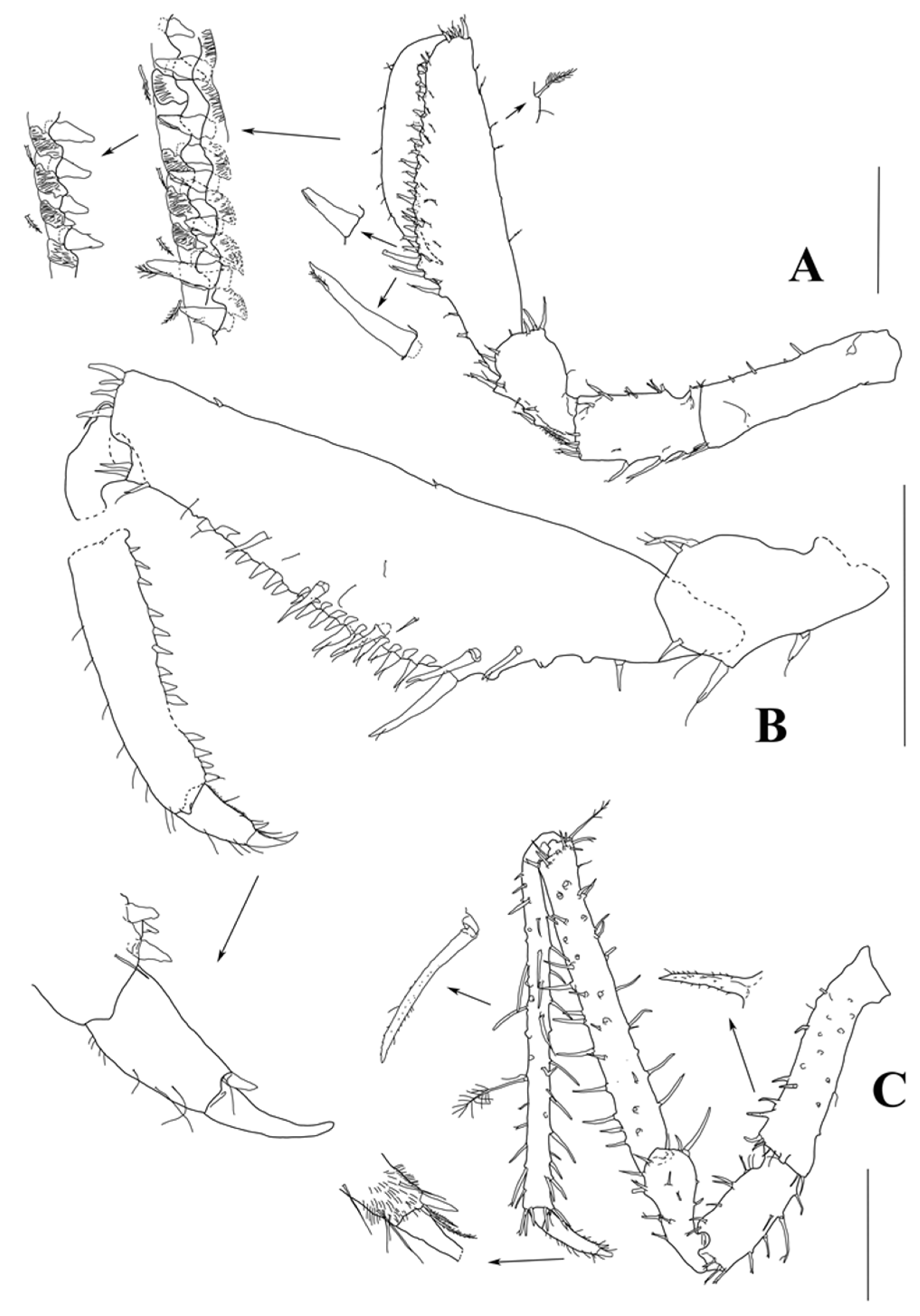 Diversity 15 00850 g009 Diversity 15 00850 g009
