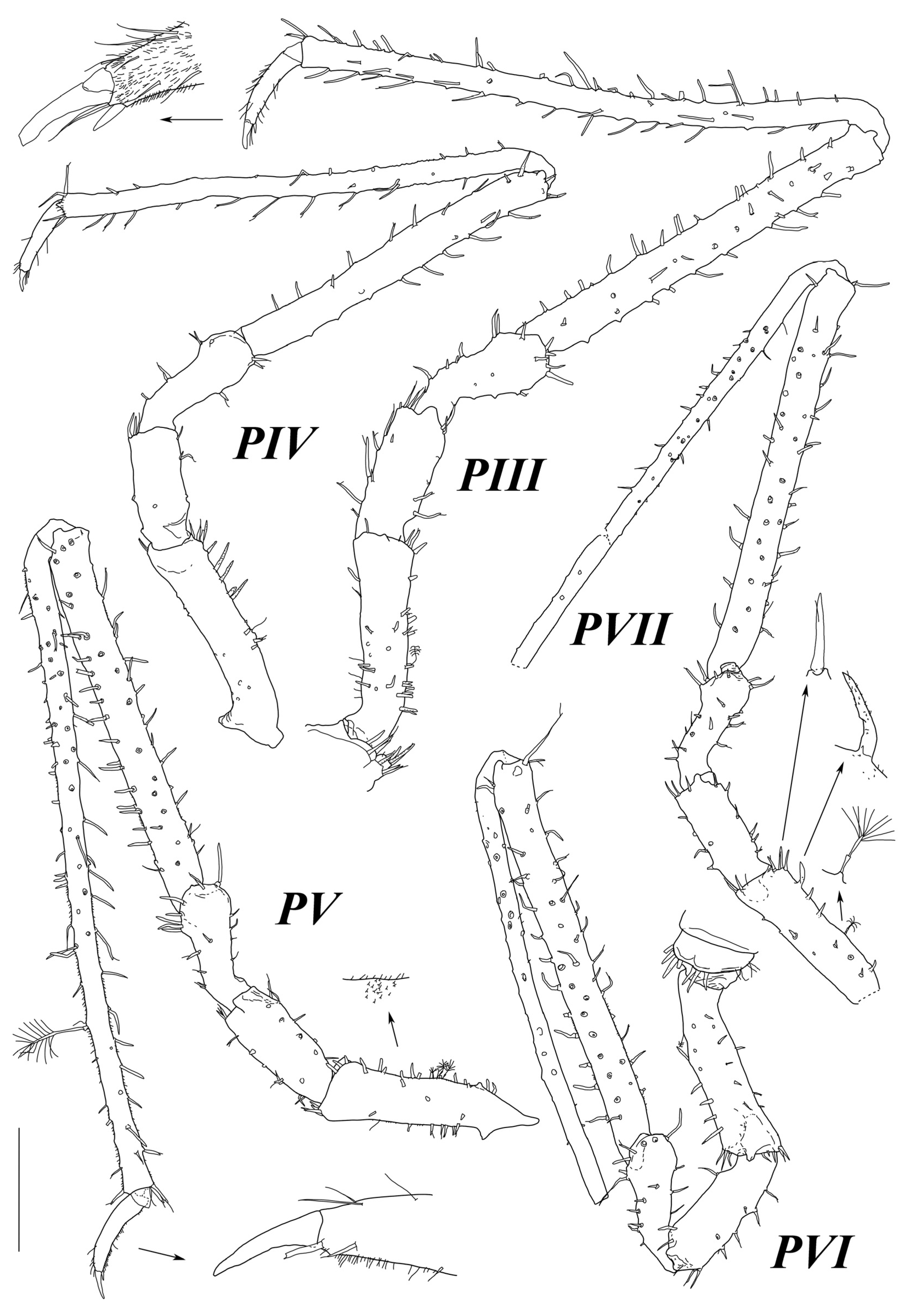 Diversity 15 00850 g010 Diversity 15 00850 g010