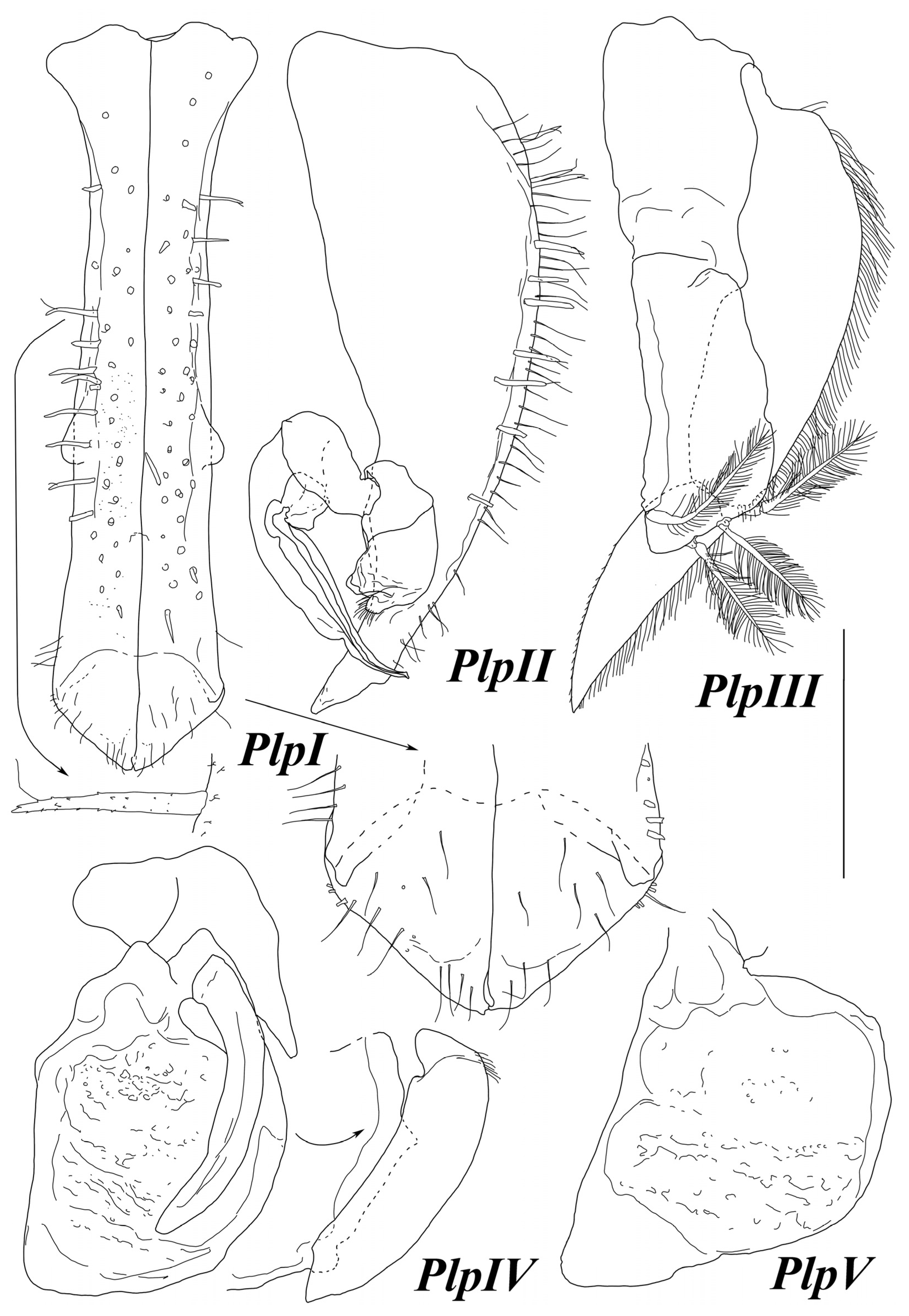 Diversity 15 00850 g011 Diversity 15 00850 g011