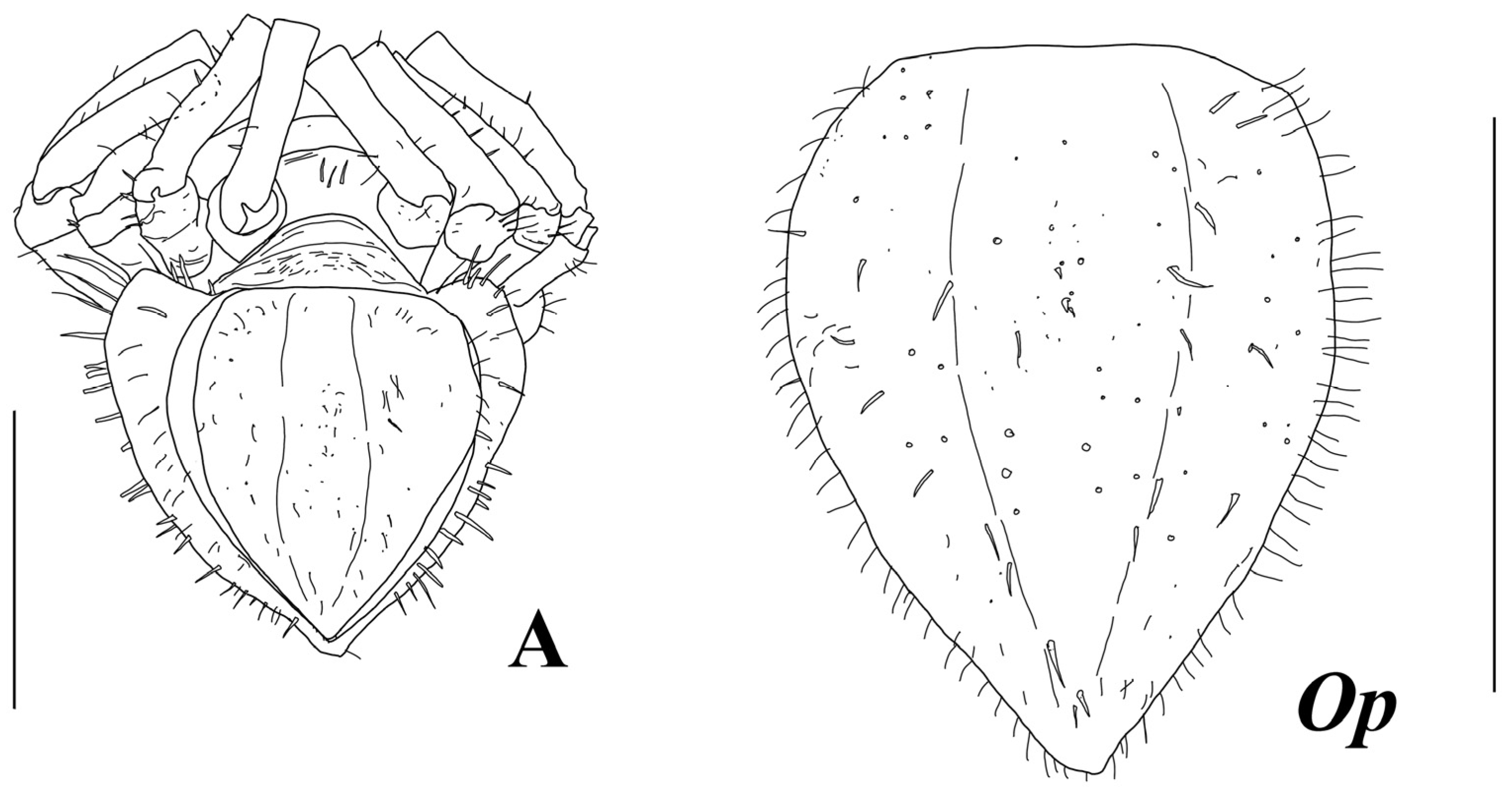 Diversity 15 00850 g012 Diversity 15 00850 g012