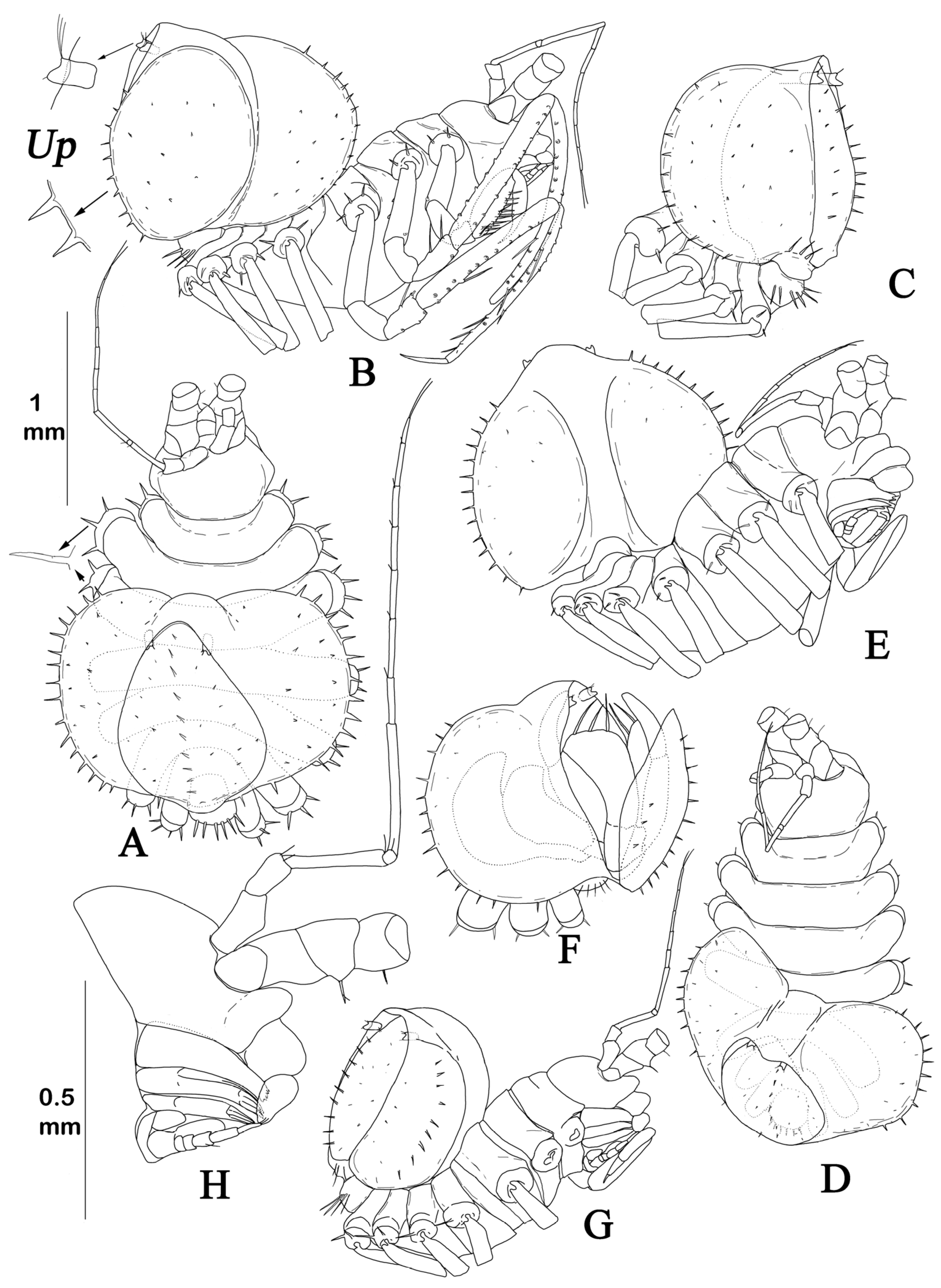 Diversity 15 00850 g013 Diversity 15 00850 g013
