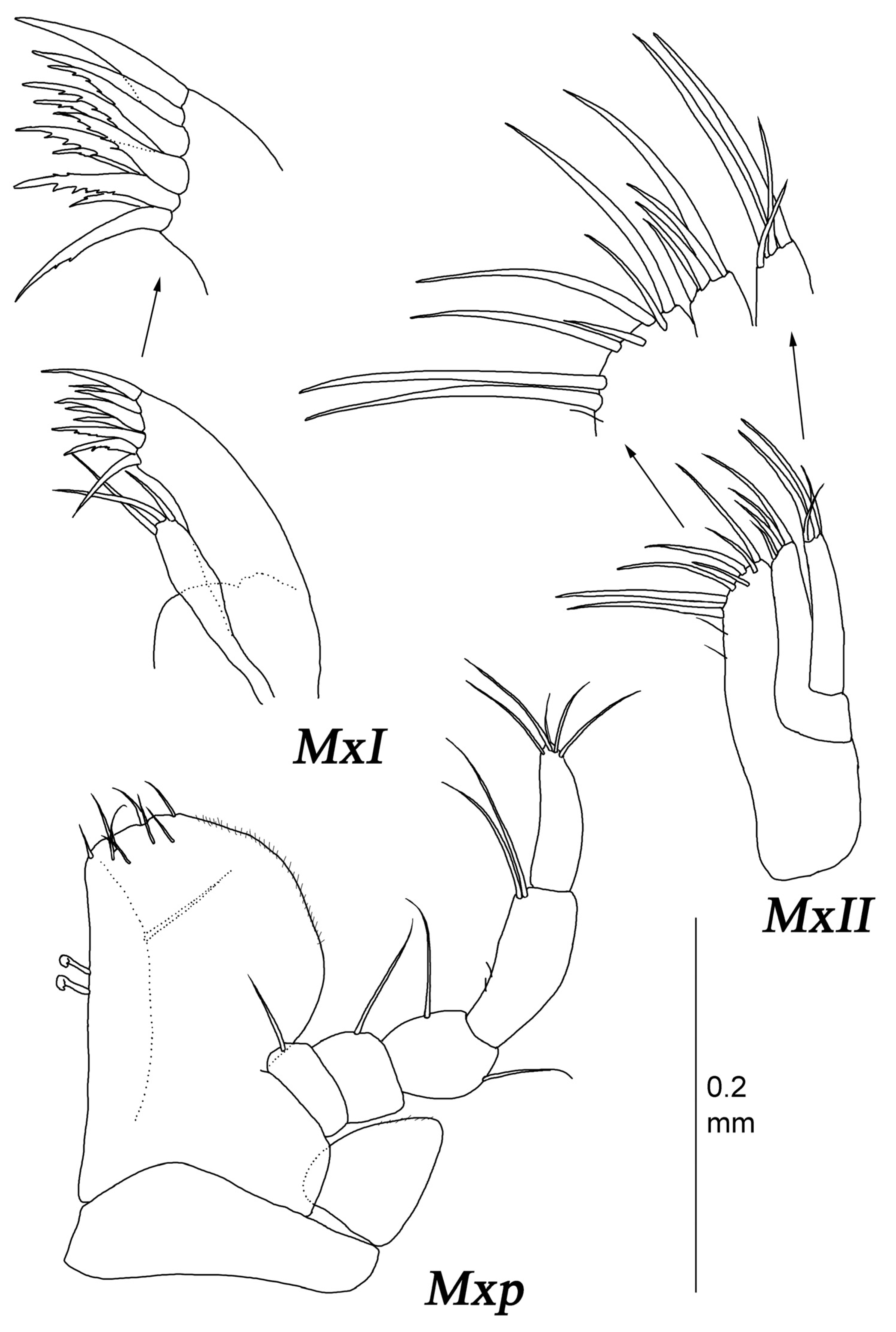 Diversity 15 00850 g015 Diversity 15 00850 g015