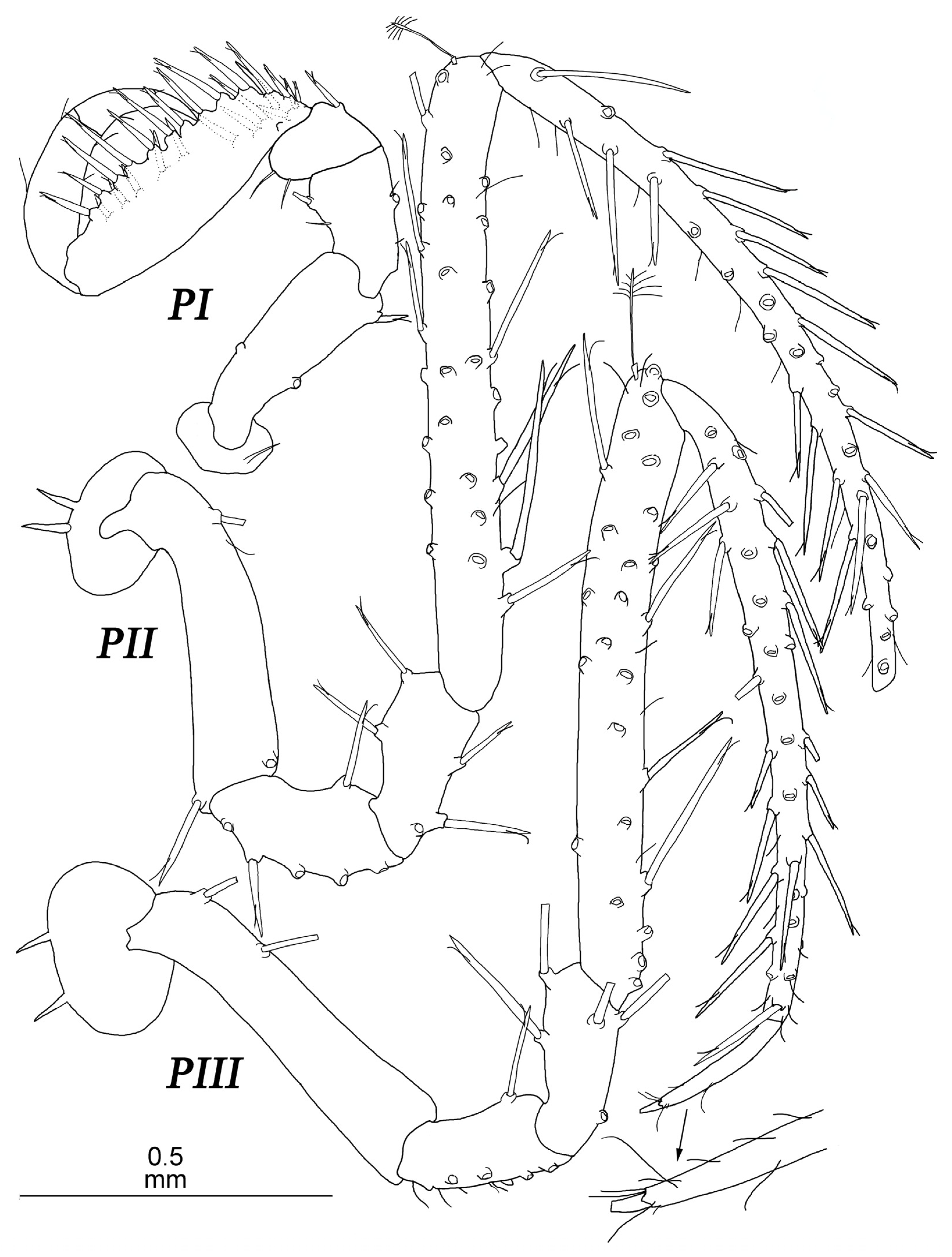 Diversity 15 00850 g016 Diversity 15 00850 g016
