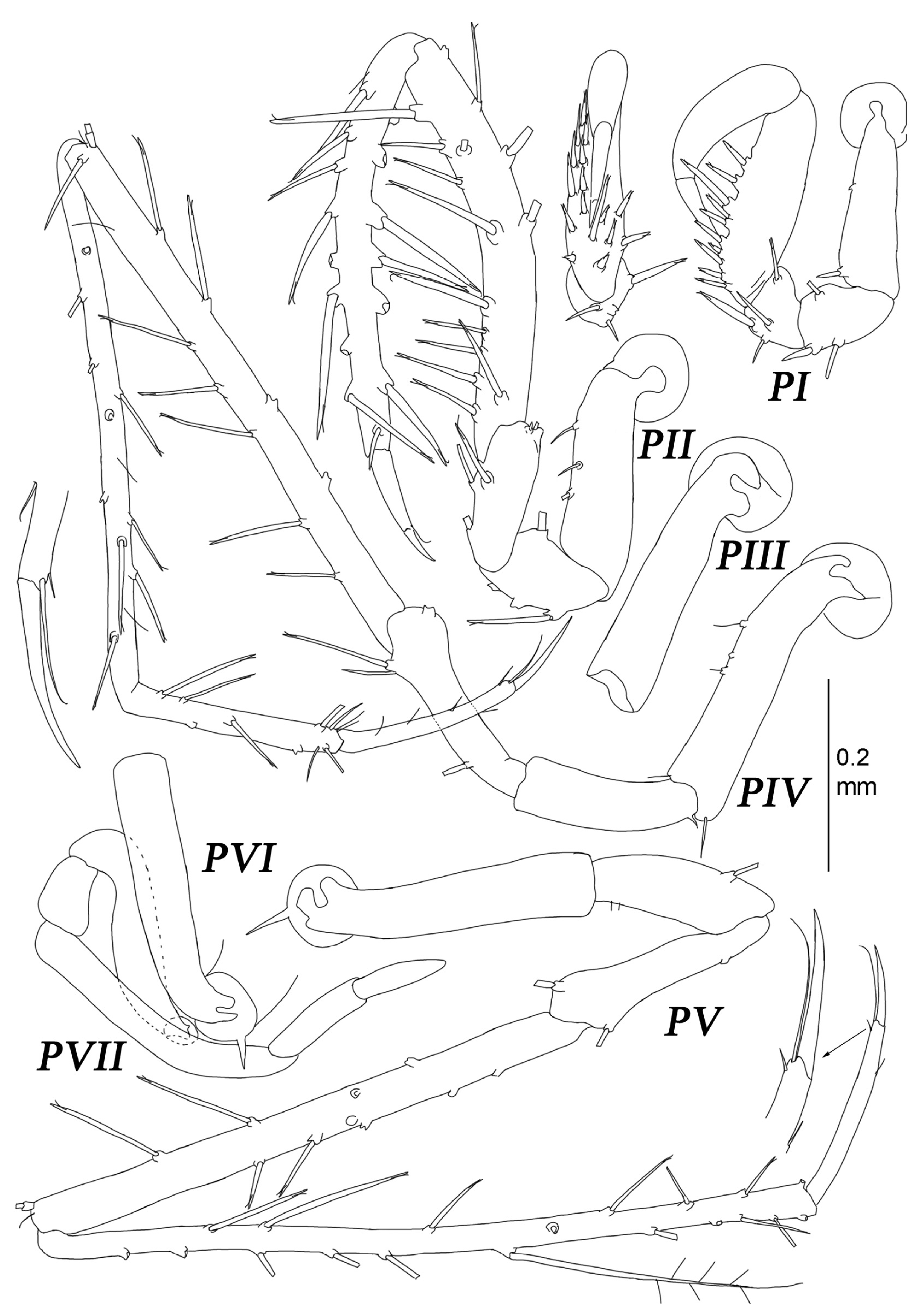 Diversity 15 00850 g017 Diversity 15 00850 g017