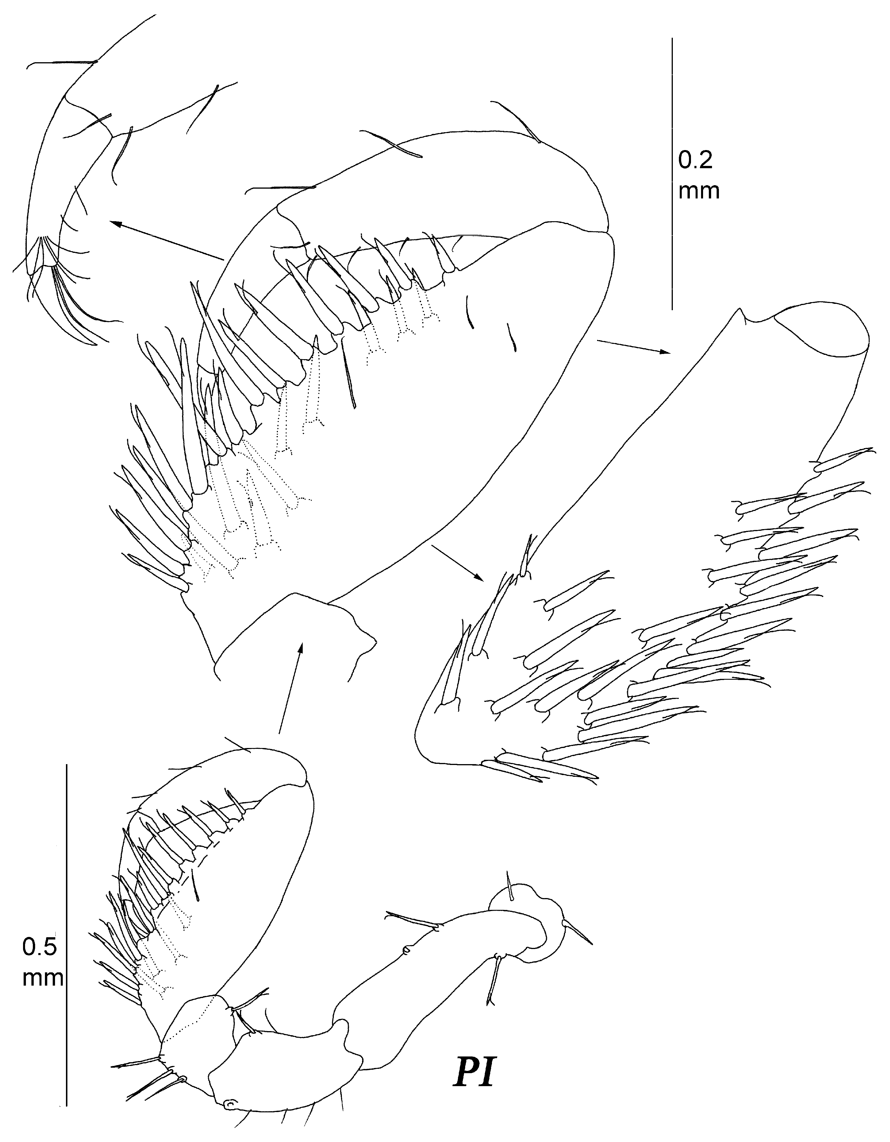 Diversity 15 00850 g018 Diversity 15 00850 g018