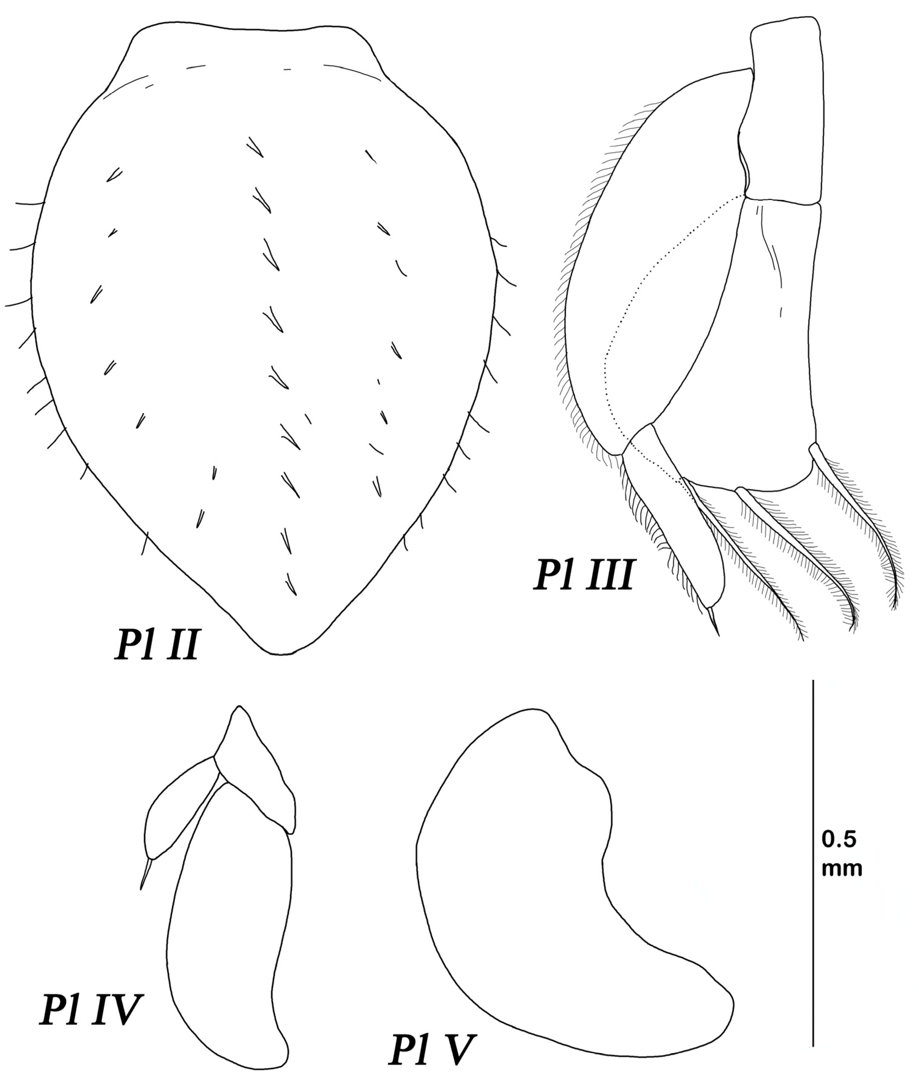 Diversity 15 00850 g019 Diversity 15 00850 g019
