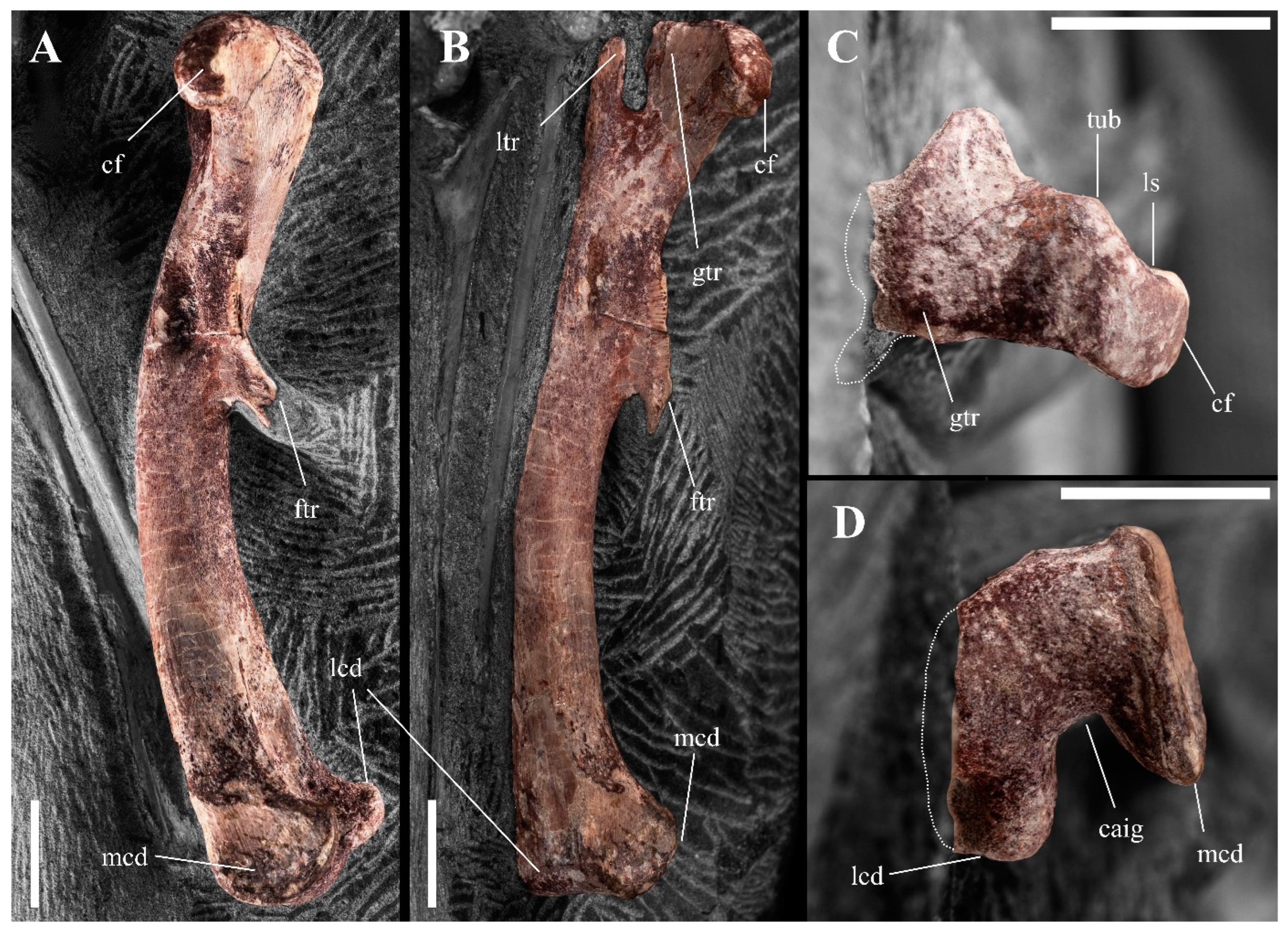 Diversity 15 00851 g014