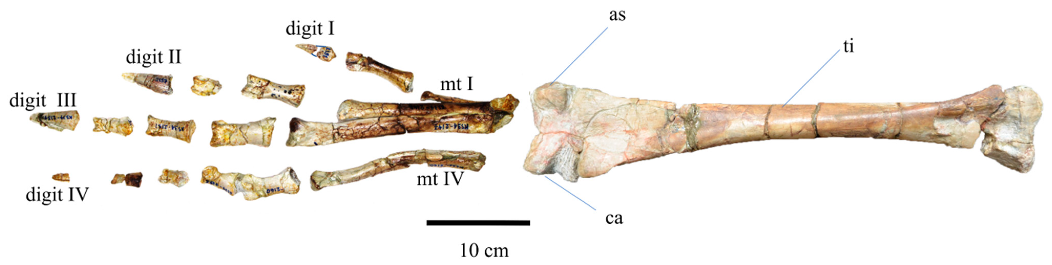 Diversity 15 00851 g017