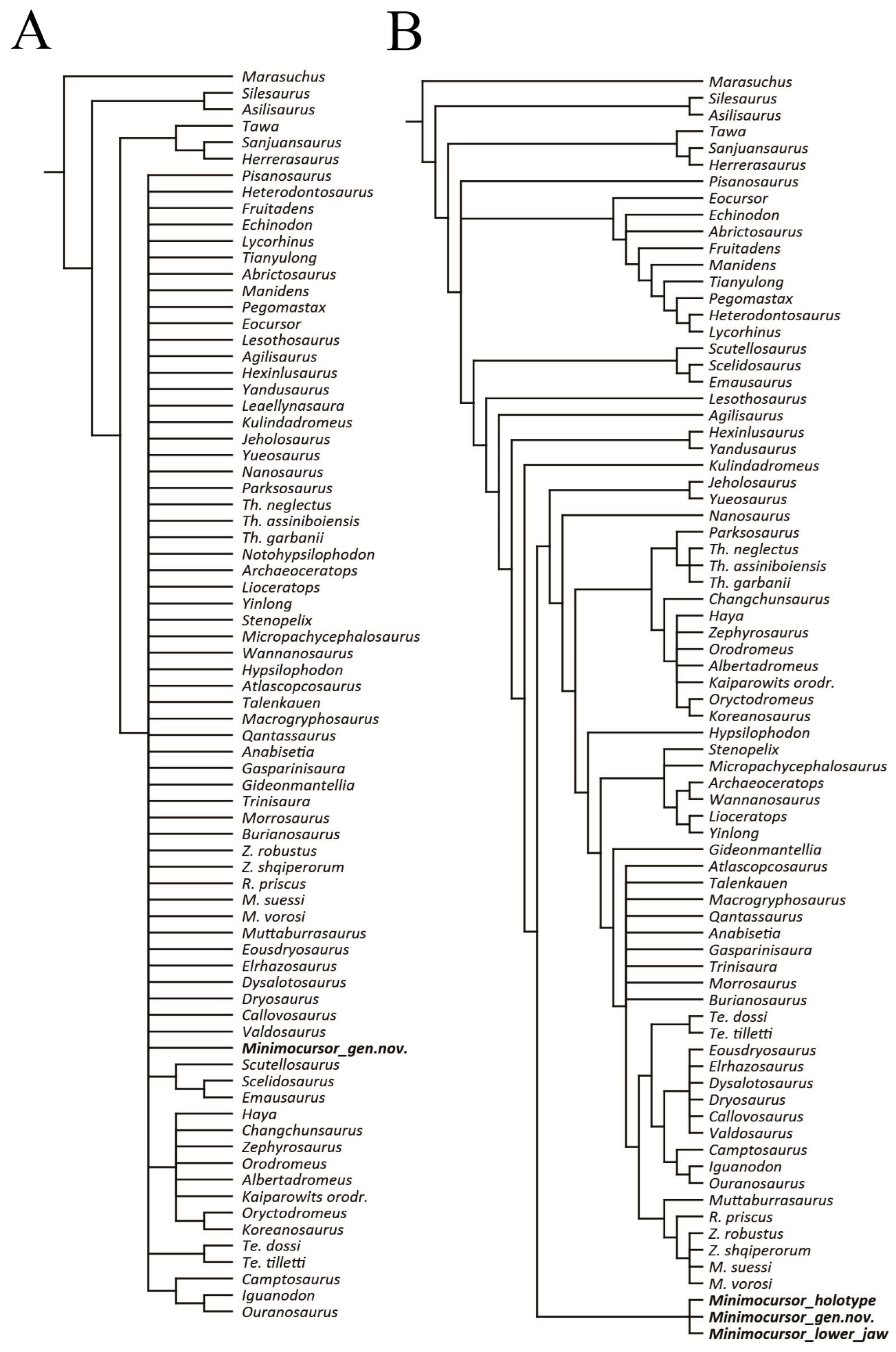 Diversity 15 00851 g018