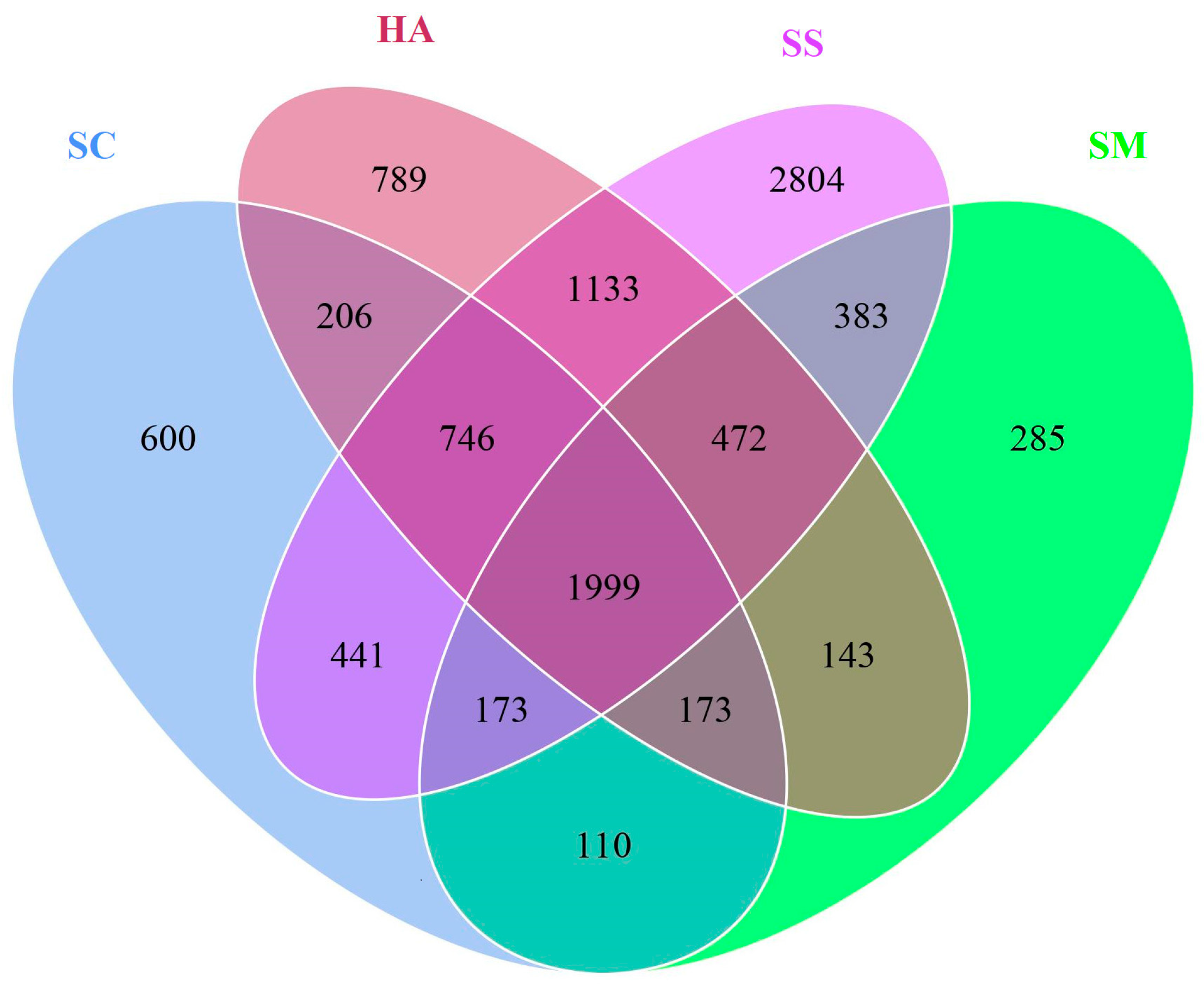 Diversity 15 00855 g001
