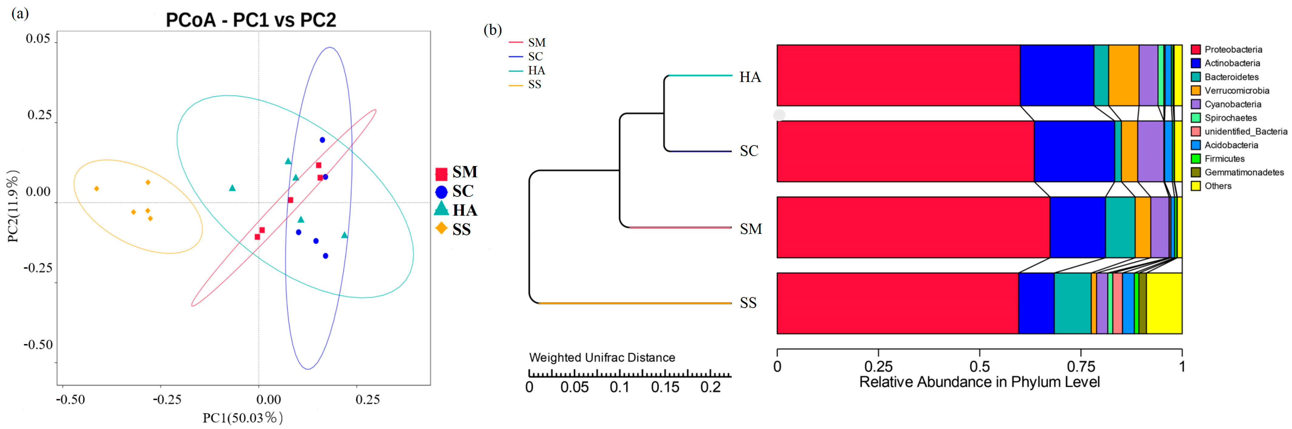 Diversity 15 00855 g003