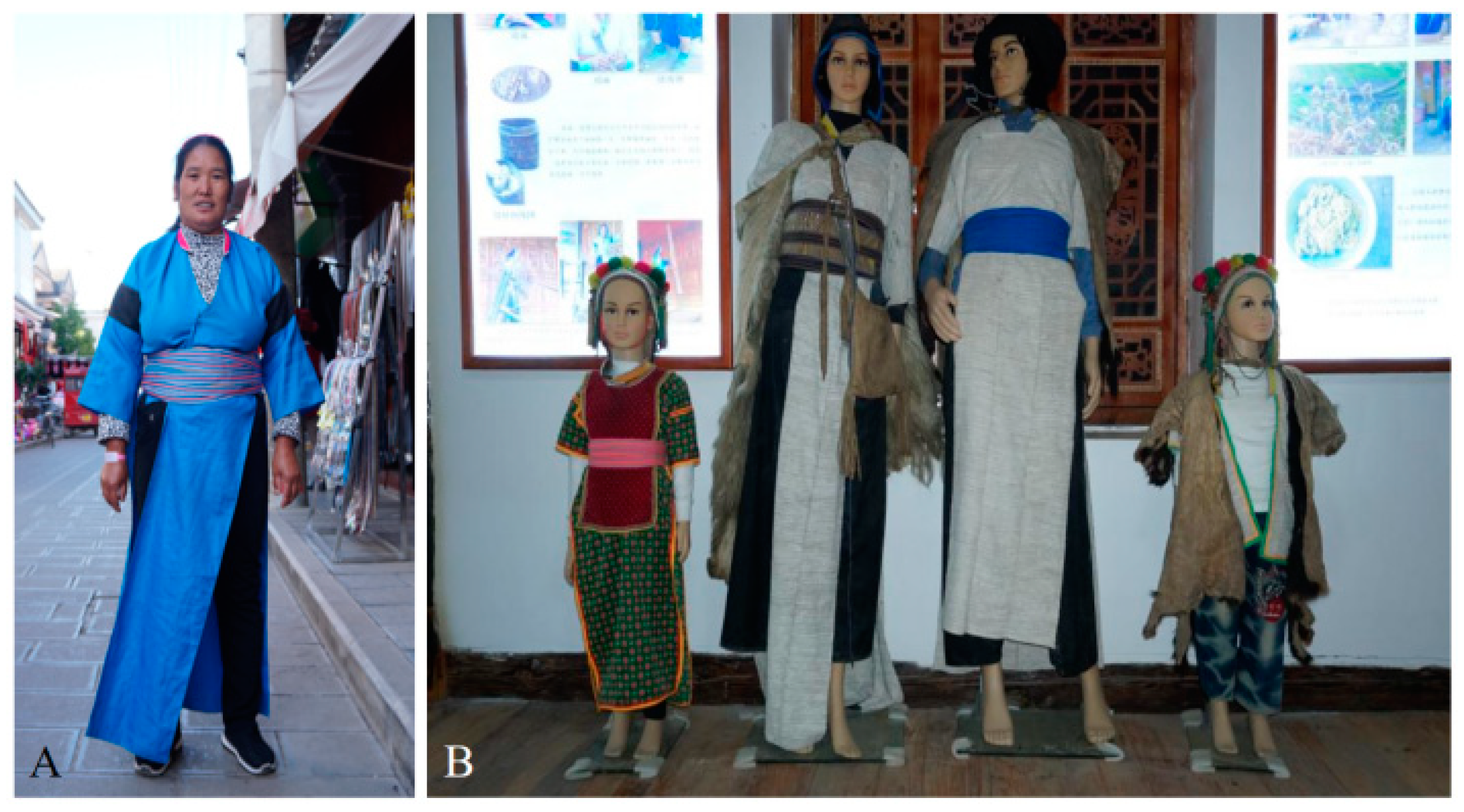 Diversity 15 00856 g002