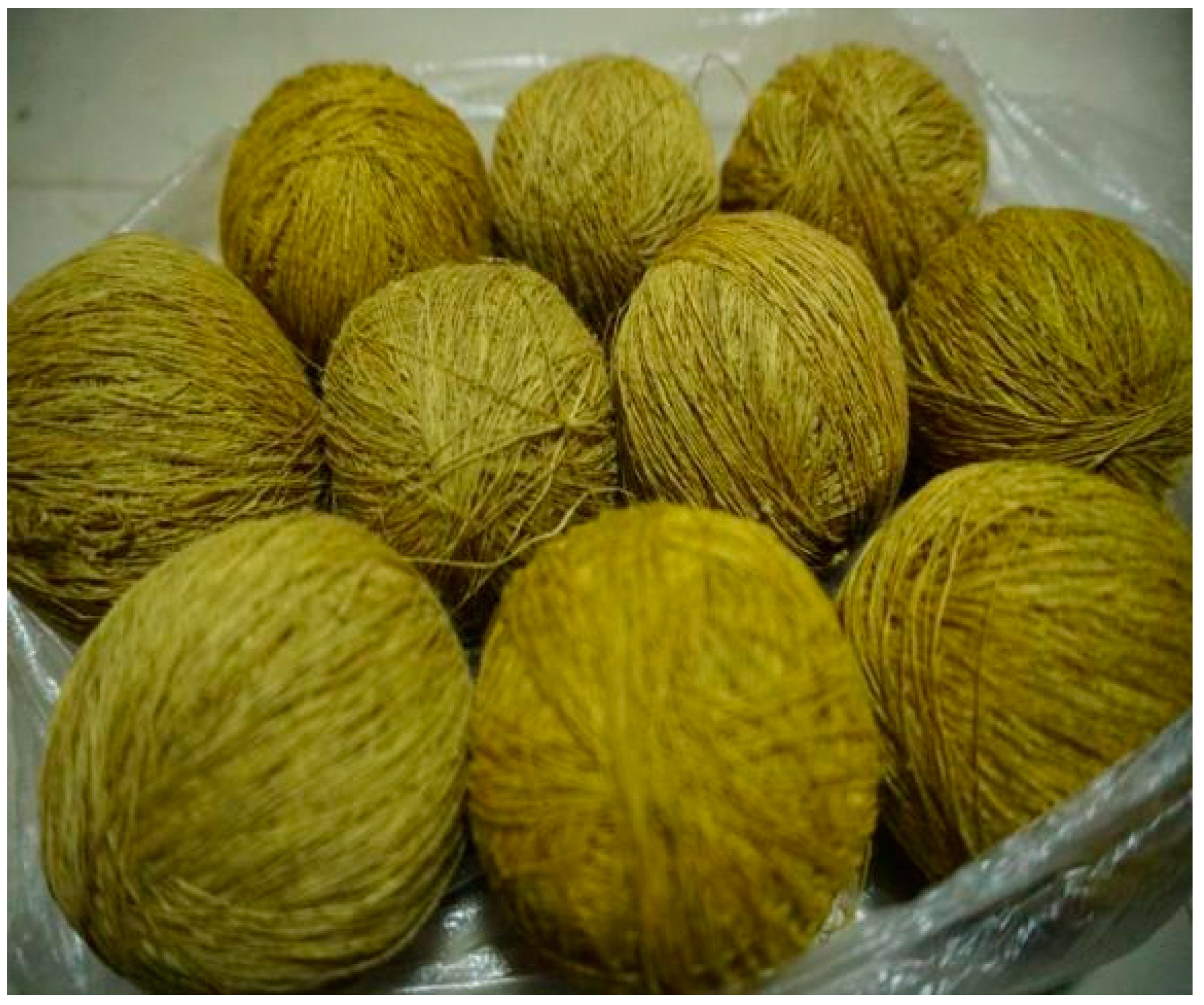 Diversity 15 00856 g003