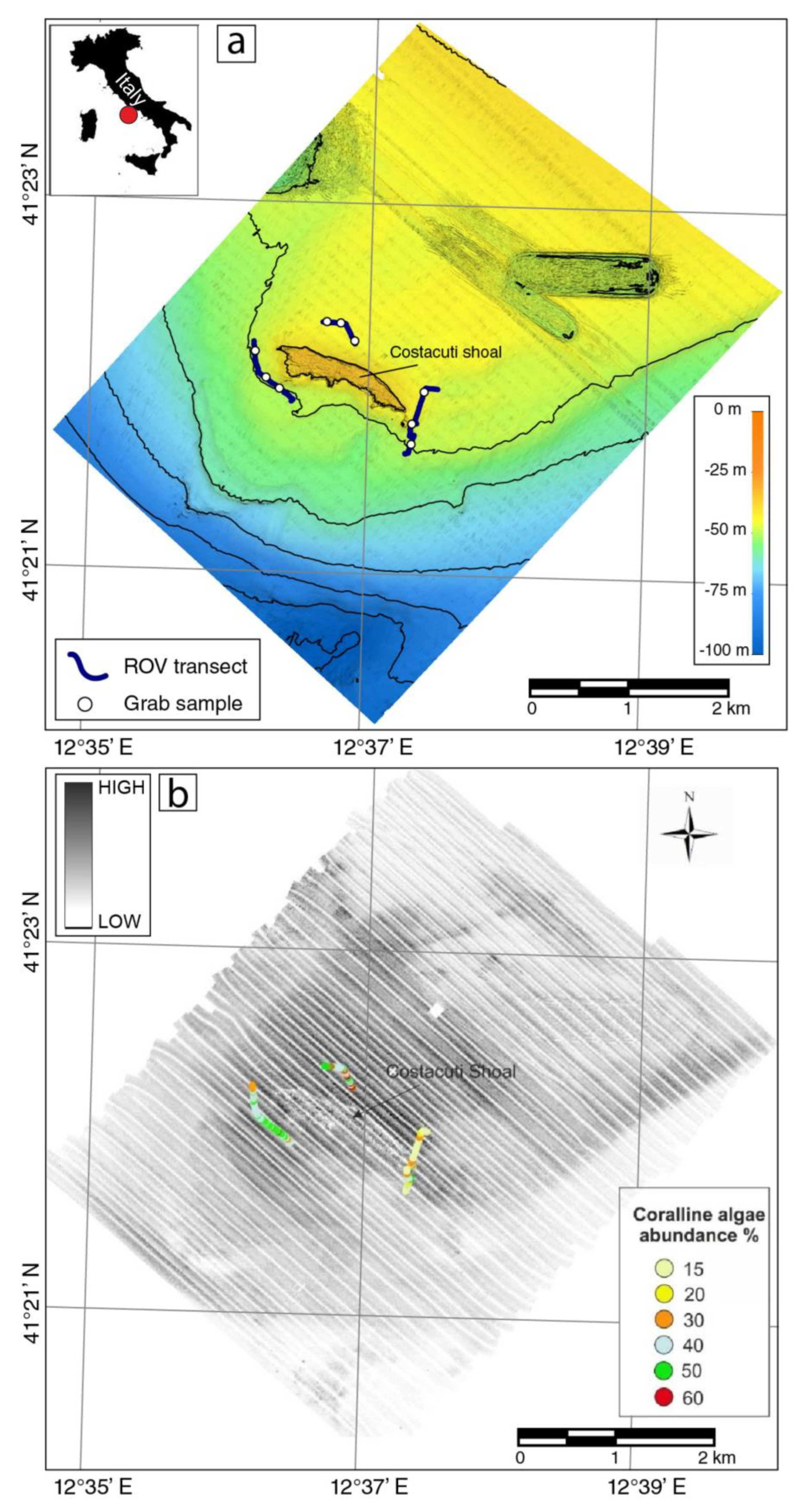 Diversity 15 00859 g001