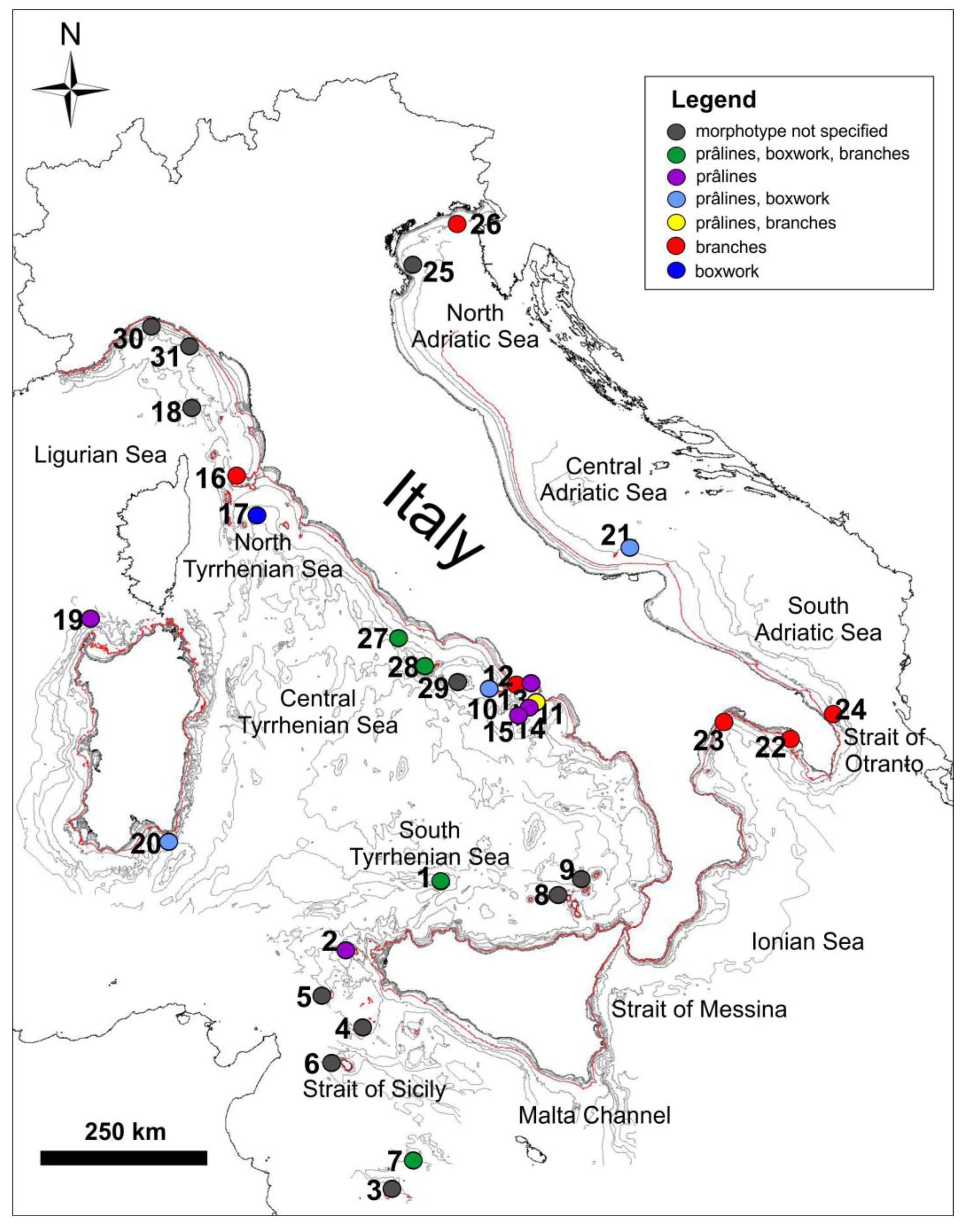 Diversity 15 00859 g002