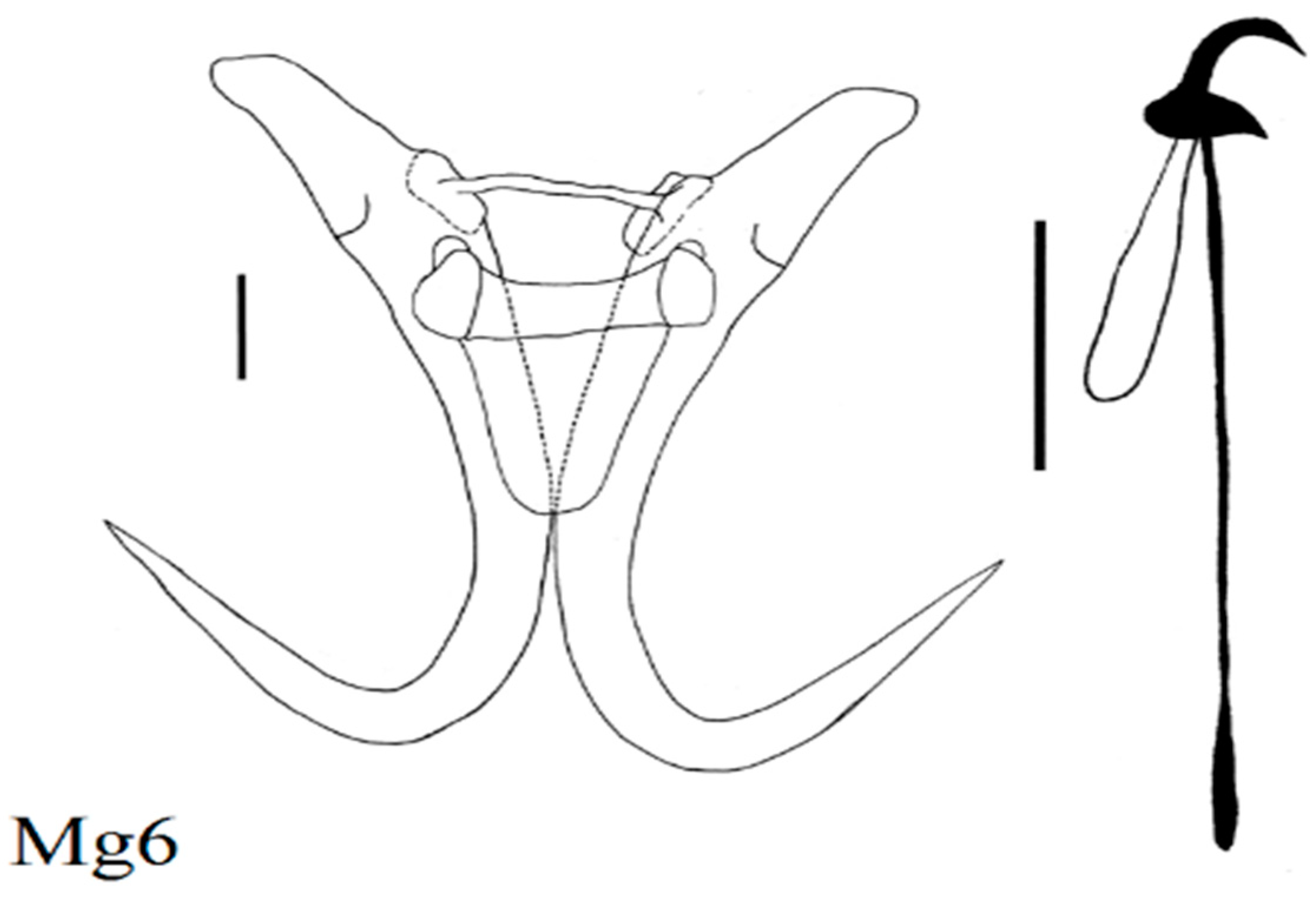 Diversity 15 00860 g003