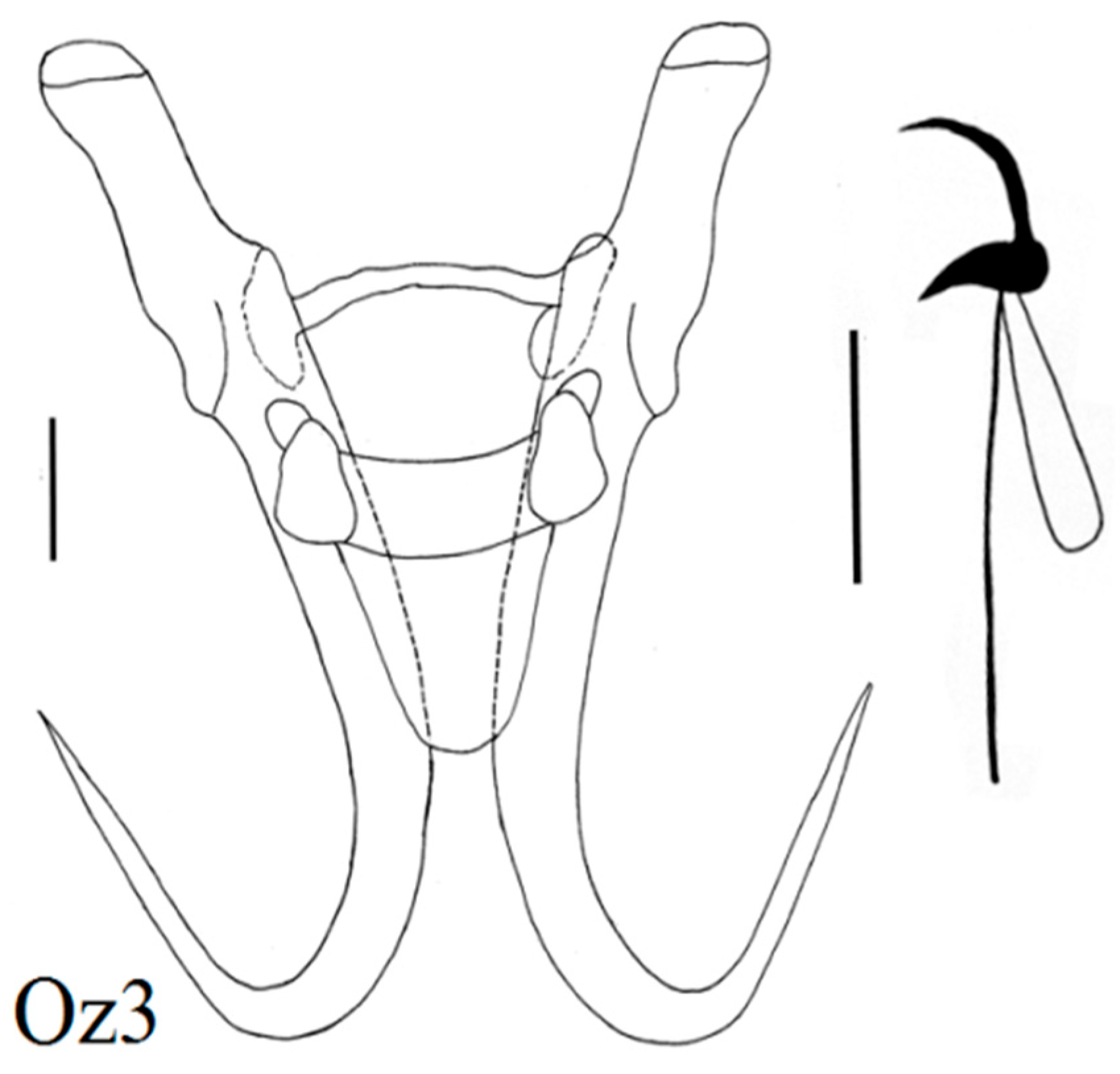 Diversity 15 00860 g004