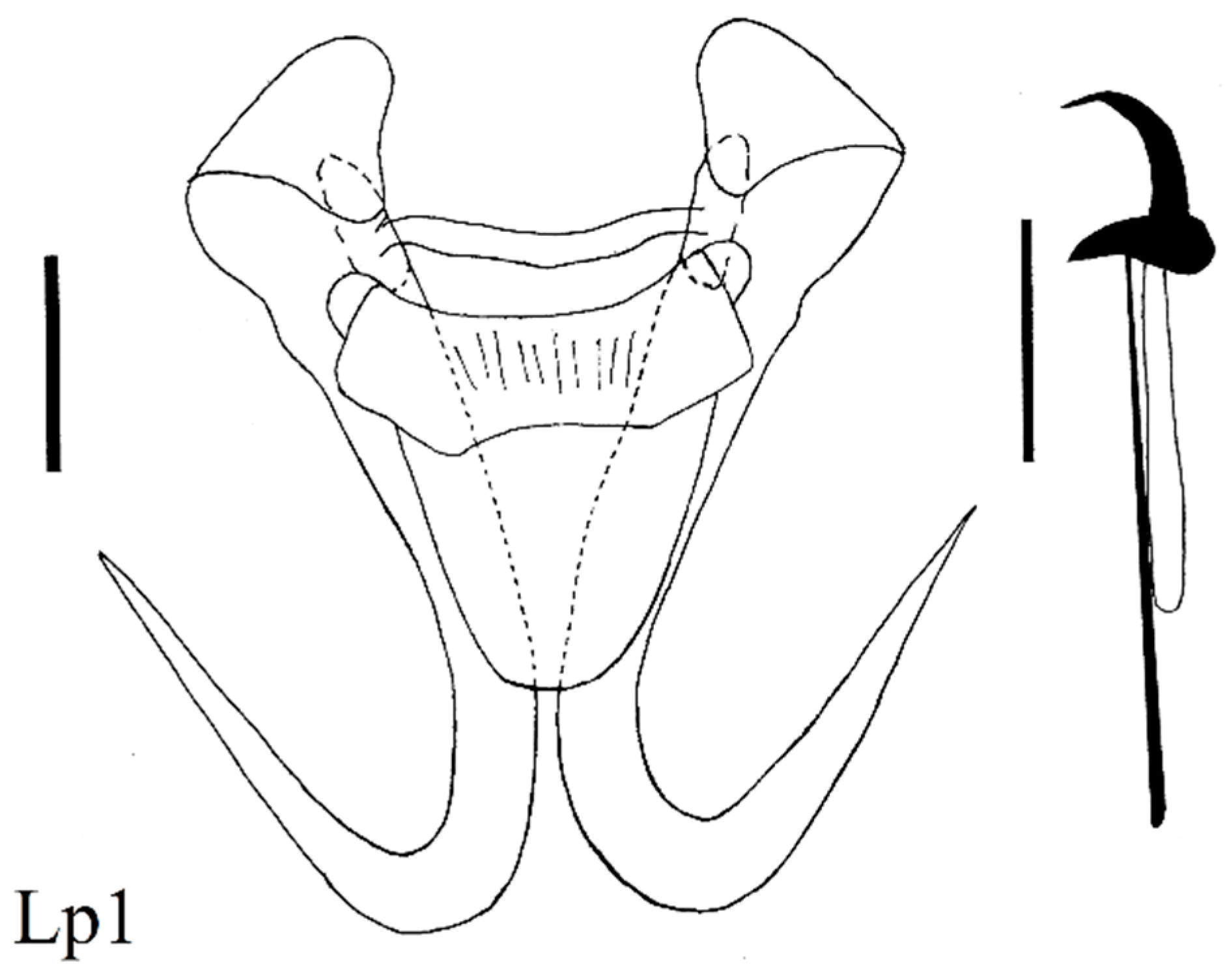 Diversity 15 00860 g006