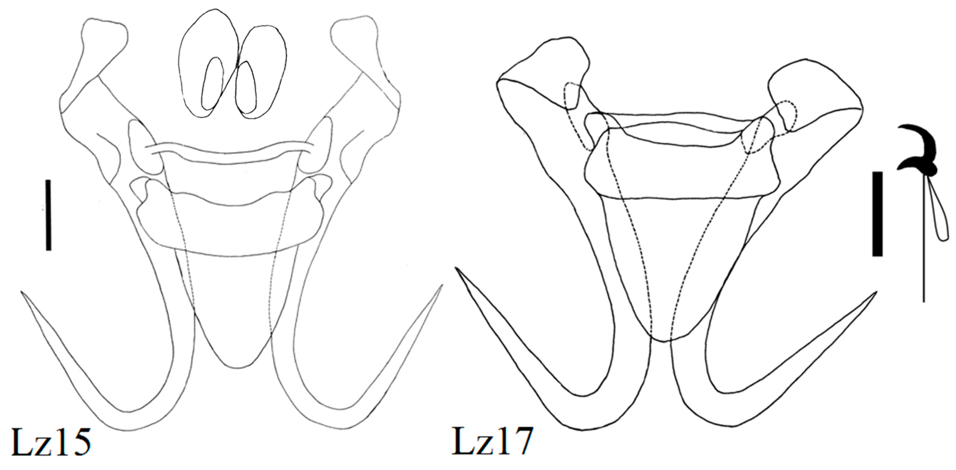 Diversity 15 00860 g007