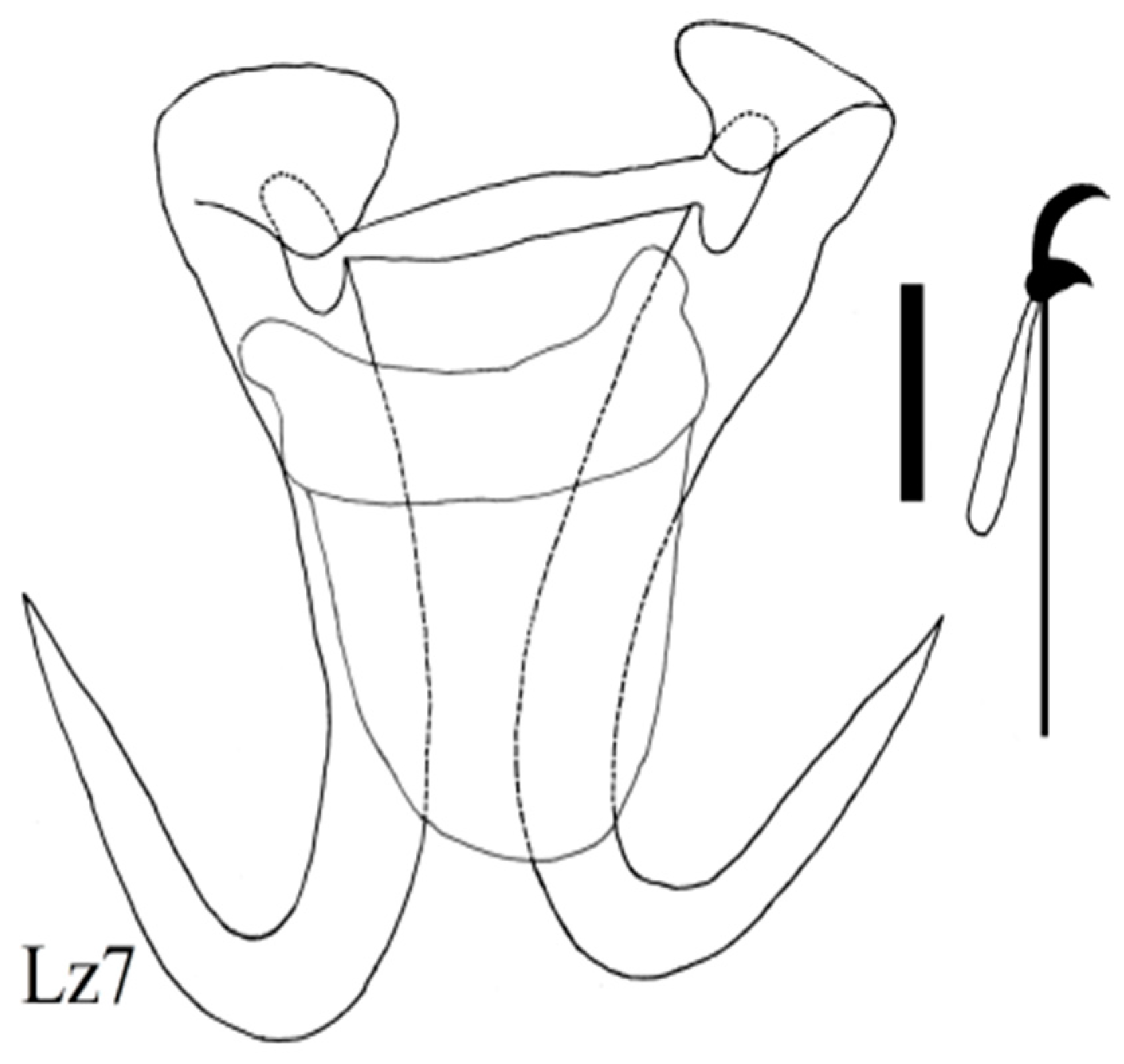 Diversity 15 00860 g009
