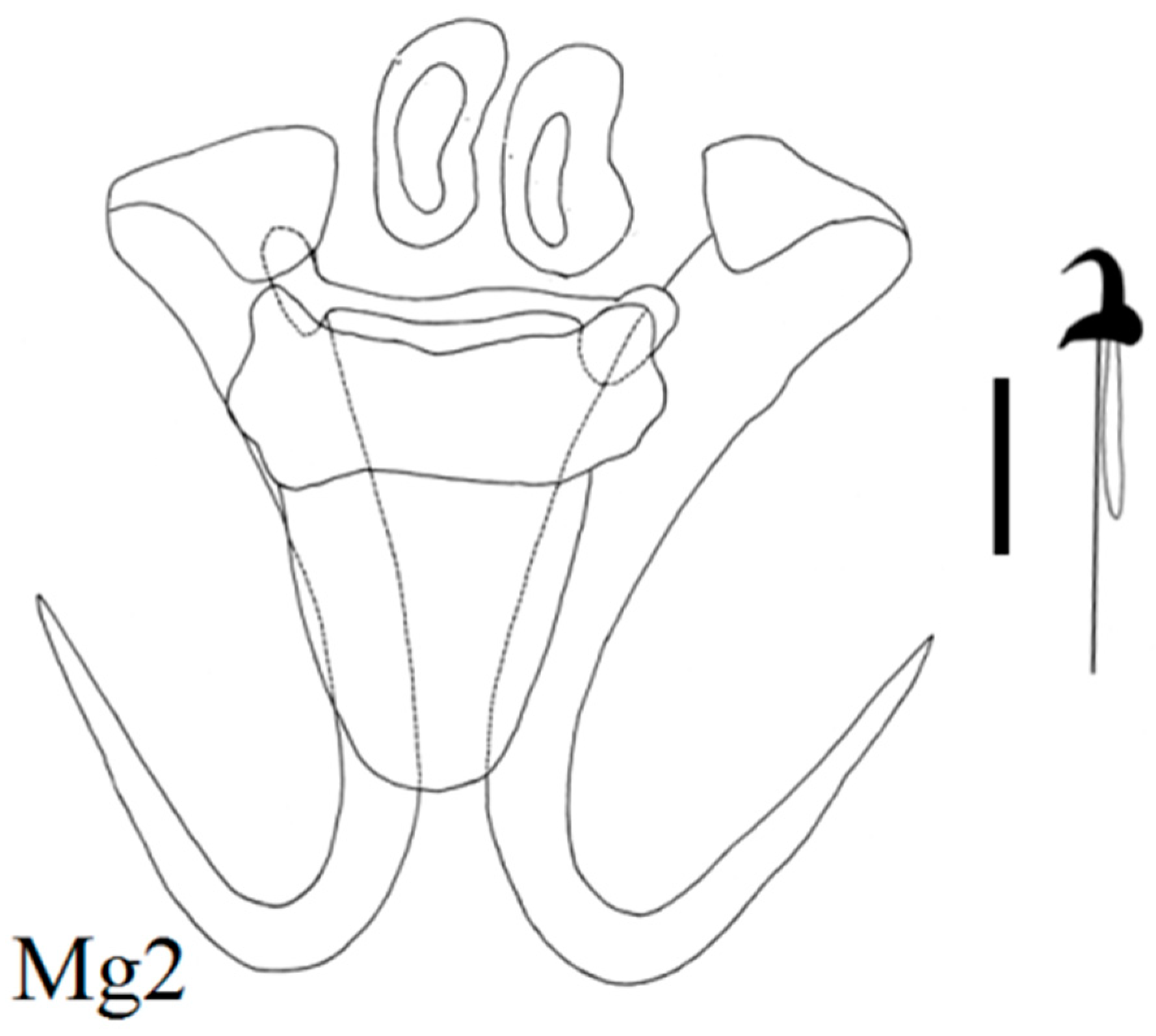 Diversity 15 00860 g010
