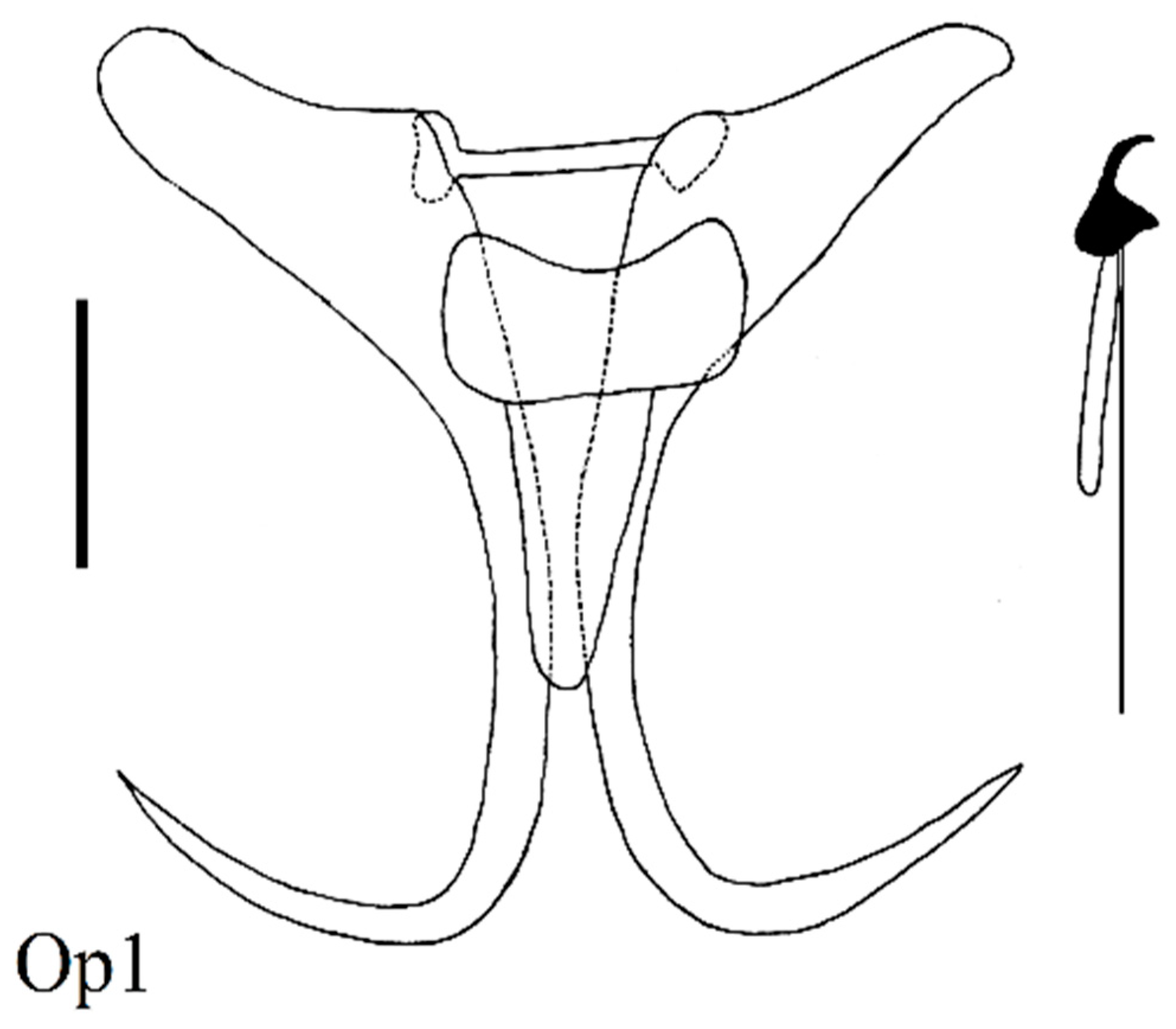 Diversity 15 00860 g013