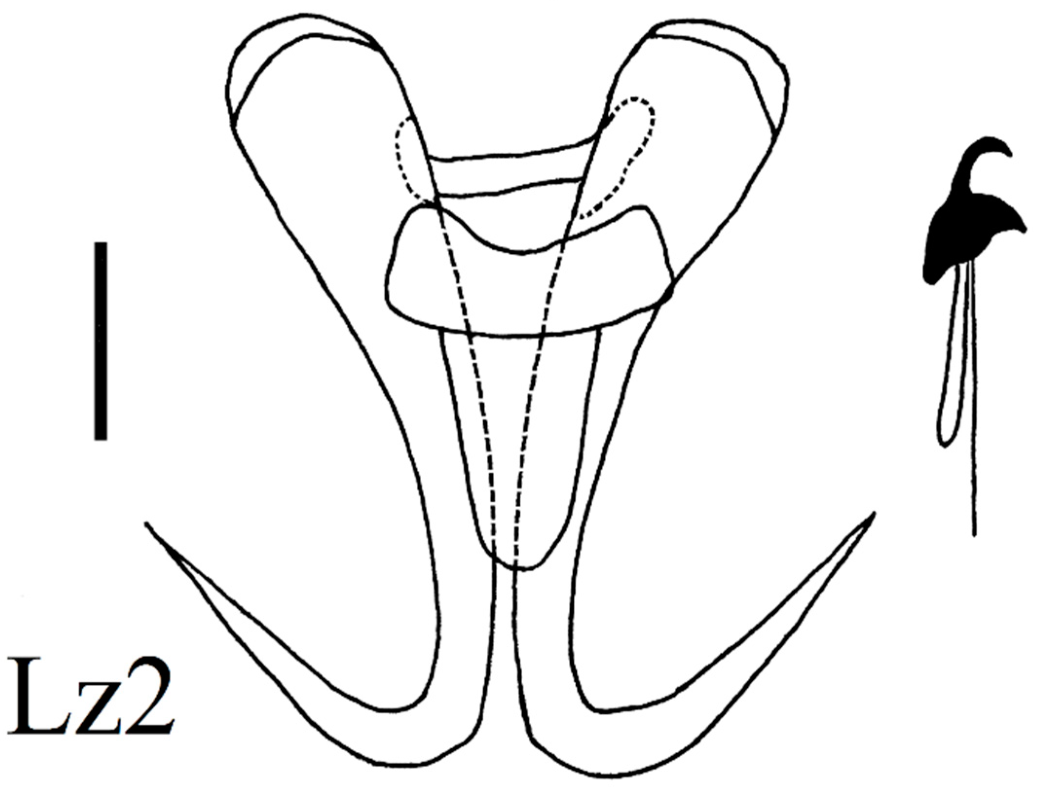 Diversity 15 00860 g014